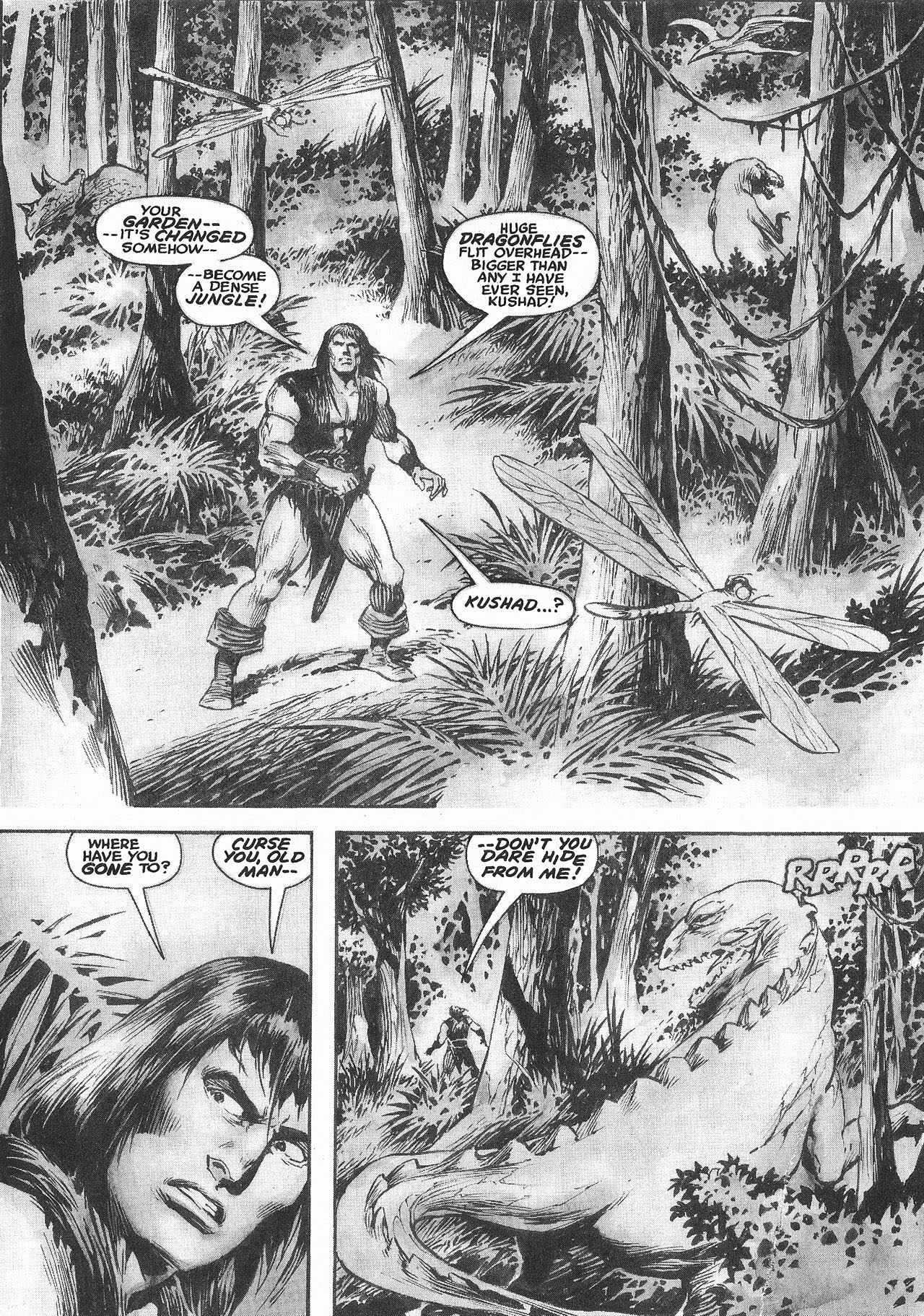 Read online The Savage Sword Of Conan comic -  Issue #207 - 35