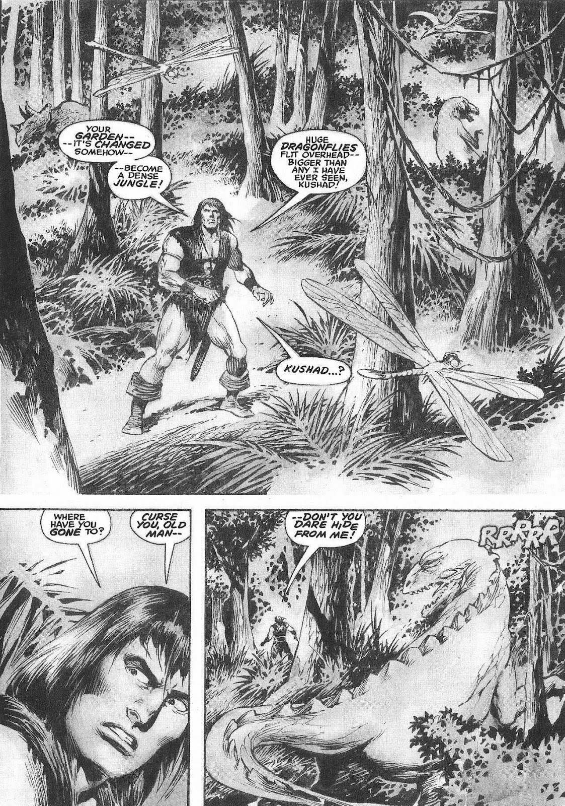 The Savage Sword Of Conan issue 207 - Page 35