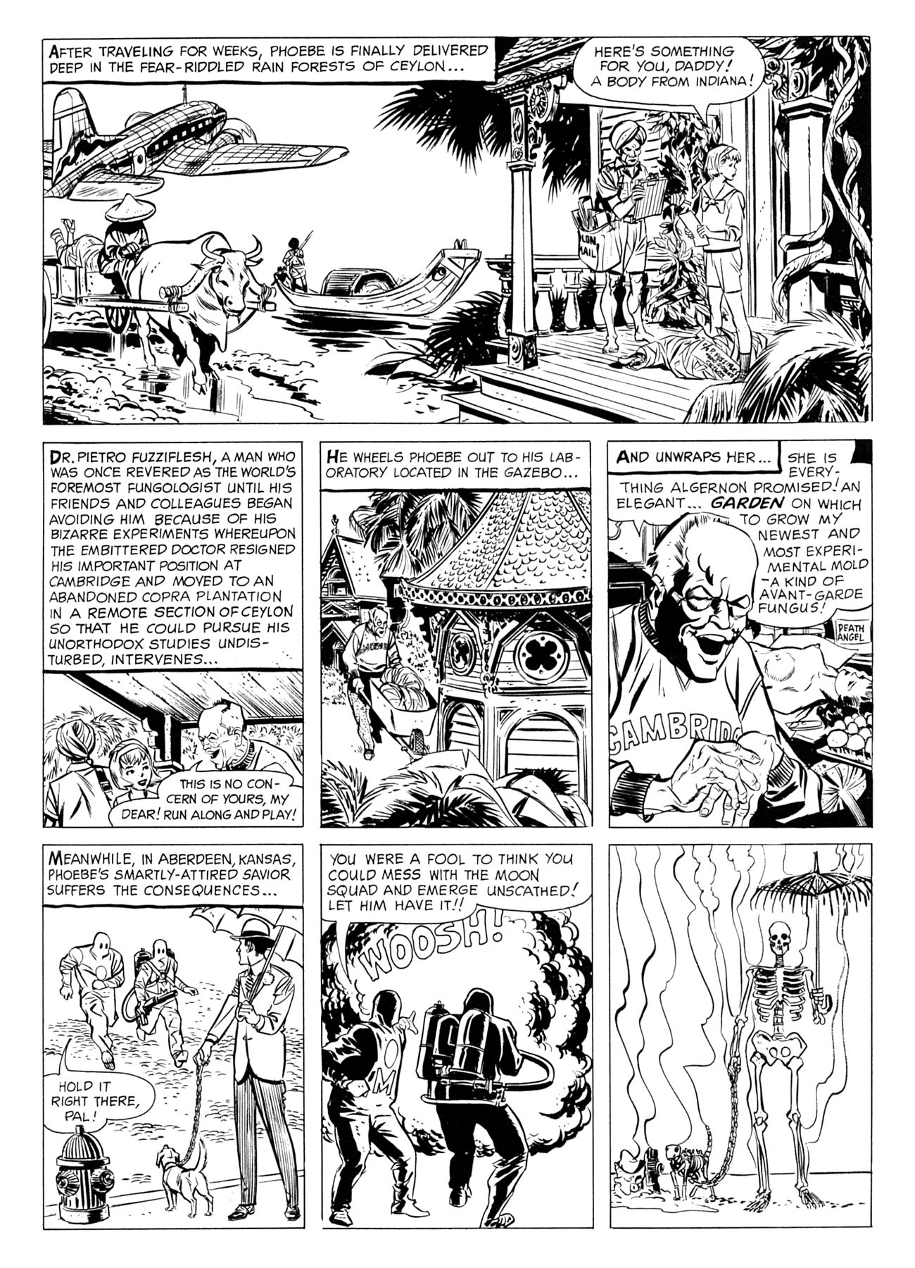 Read online The Adventures of Phoebe Zeit-Geist comic -  Issue # TPB - 37