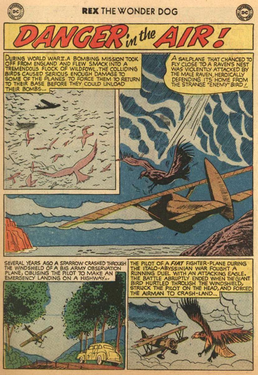 Read online The Adventures of Rex the Wonder Dog comic -  Issue #21 - 14