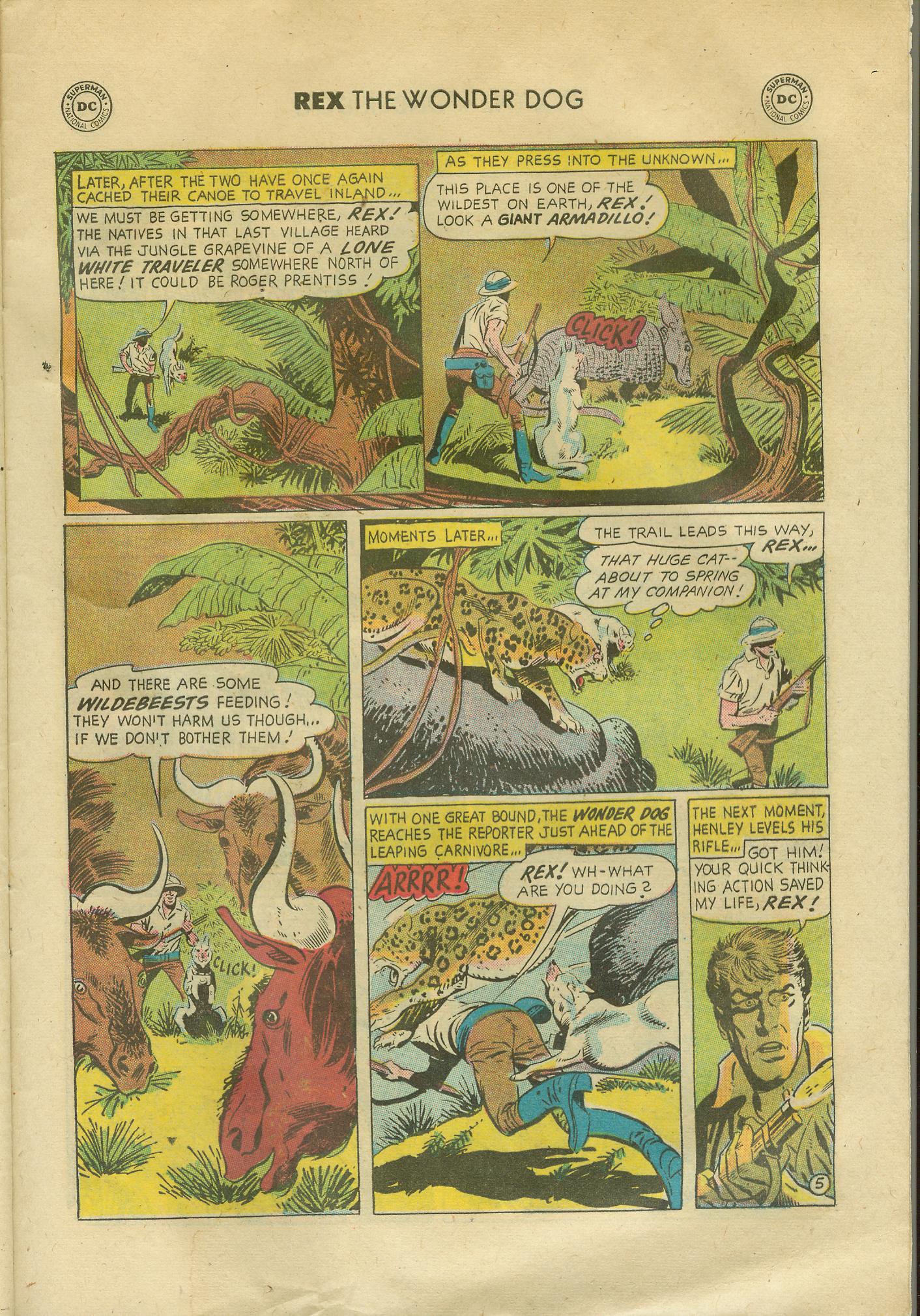 Read online The Adventures of Rex the Wonder Dog comic -  Issue #36 - 29