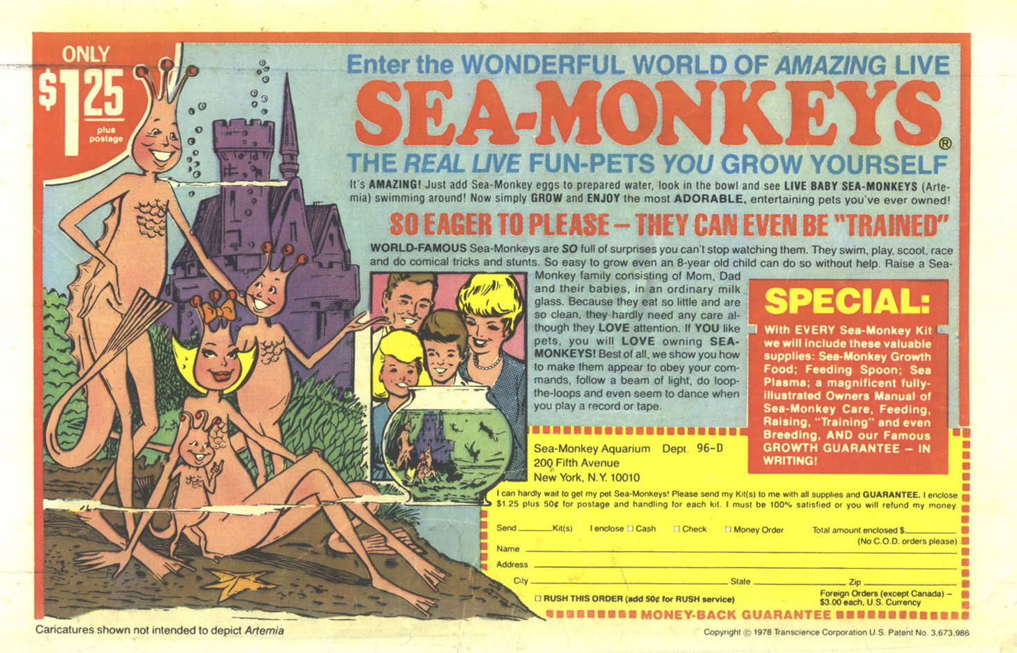 Read online Walt Disney Daisy and Donald comic -  Issue #44 - 36