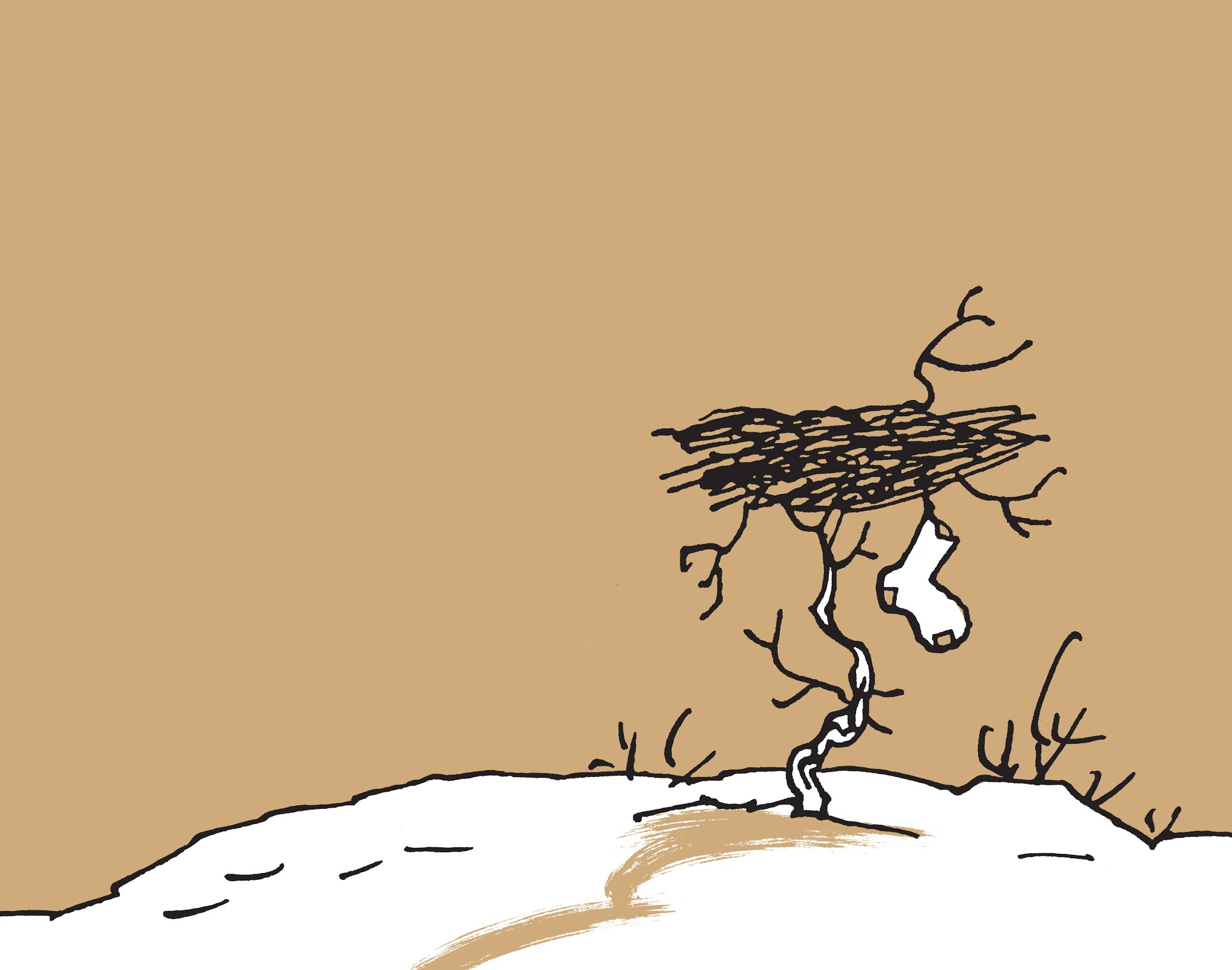 Read online The Complete Peanuts comic -  Issue # TPB 16 - 16