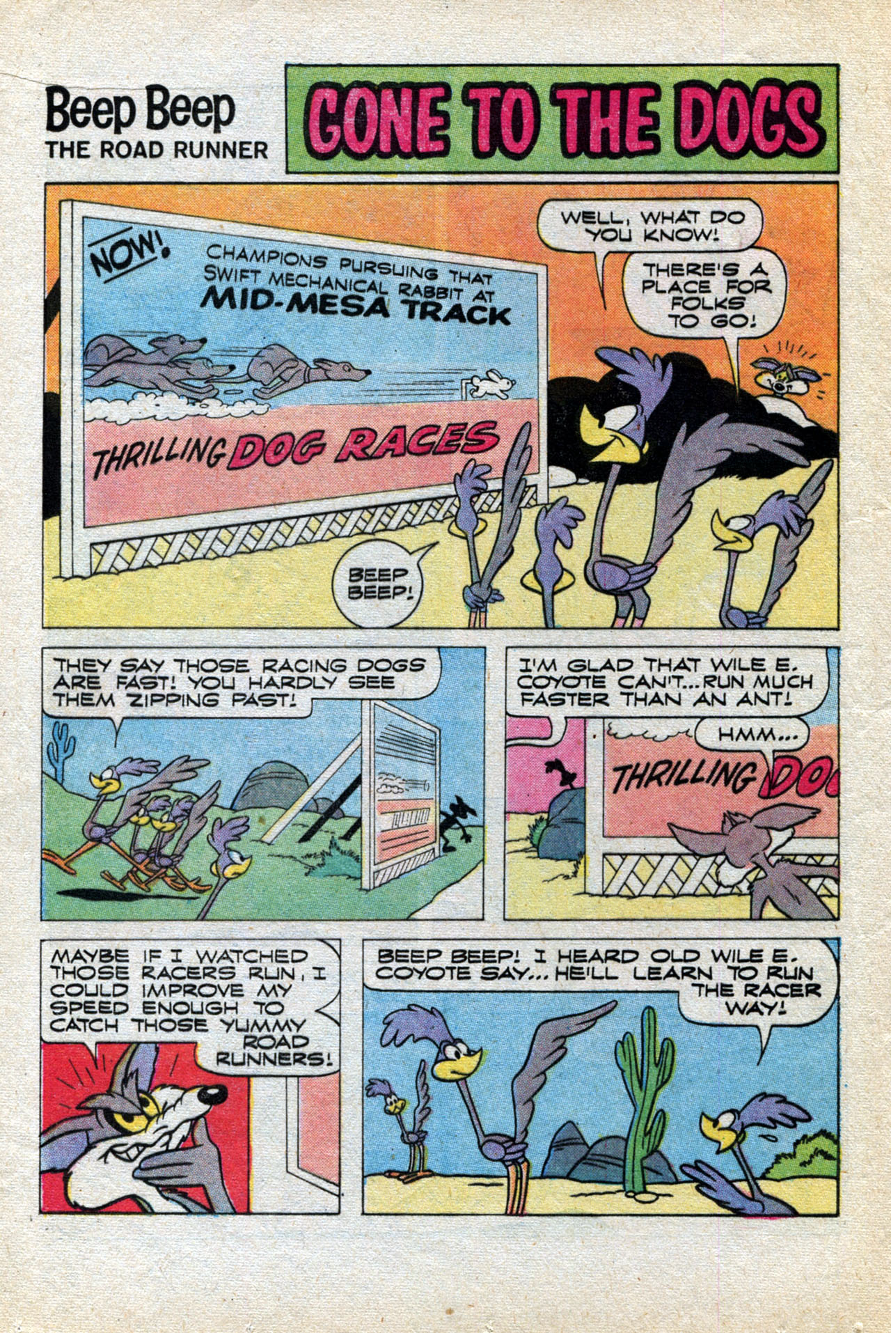 Read online Beep Beep The Road Runner comic -  Issue #24 - 12