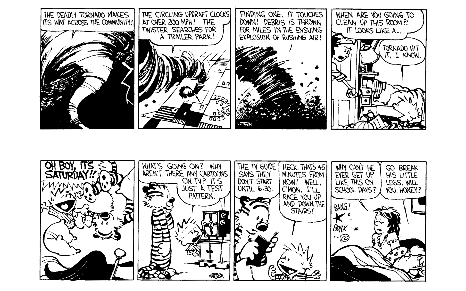 Read online Calvin and Hobbes comic -  Issue #3 - 101