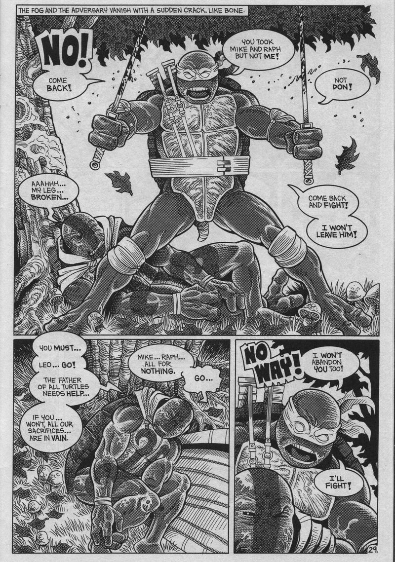 Read online Teenage Mutant Ninja Turtles (1984) comic -  Issue #37 - 29