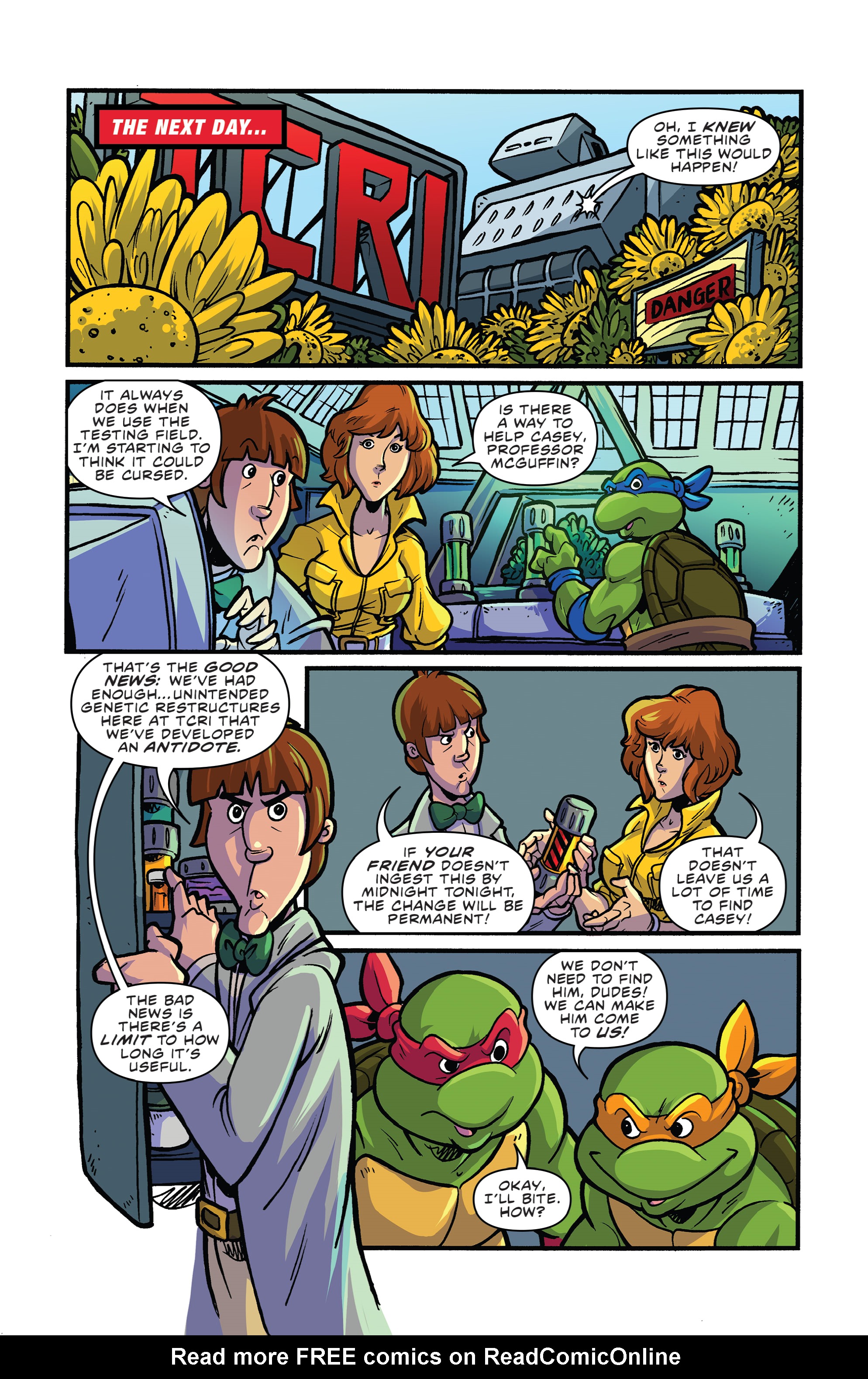 Read online Teenage Mutant Ninja Turtles: Saturday Morning Adventures comic -  Issue #3 - 15