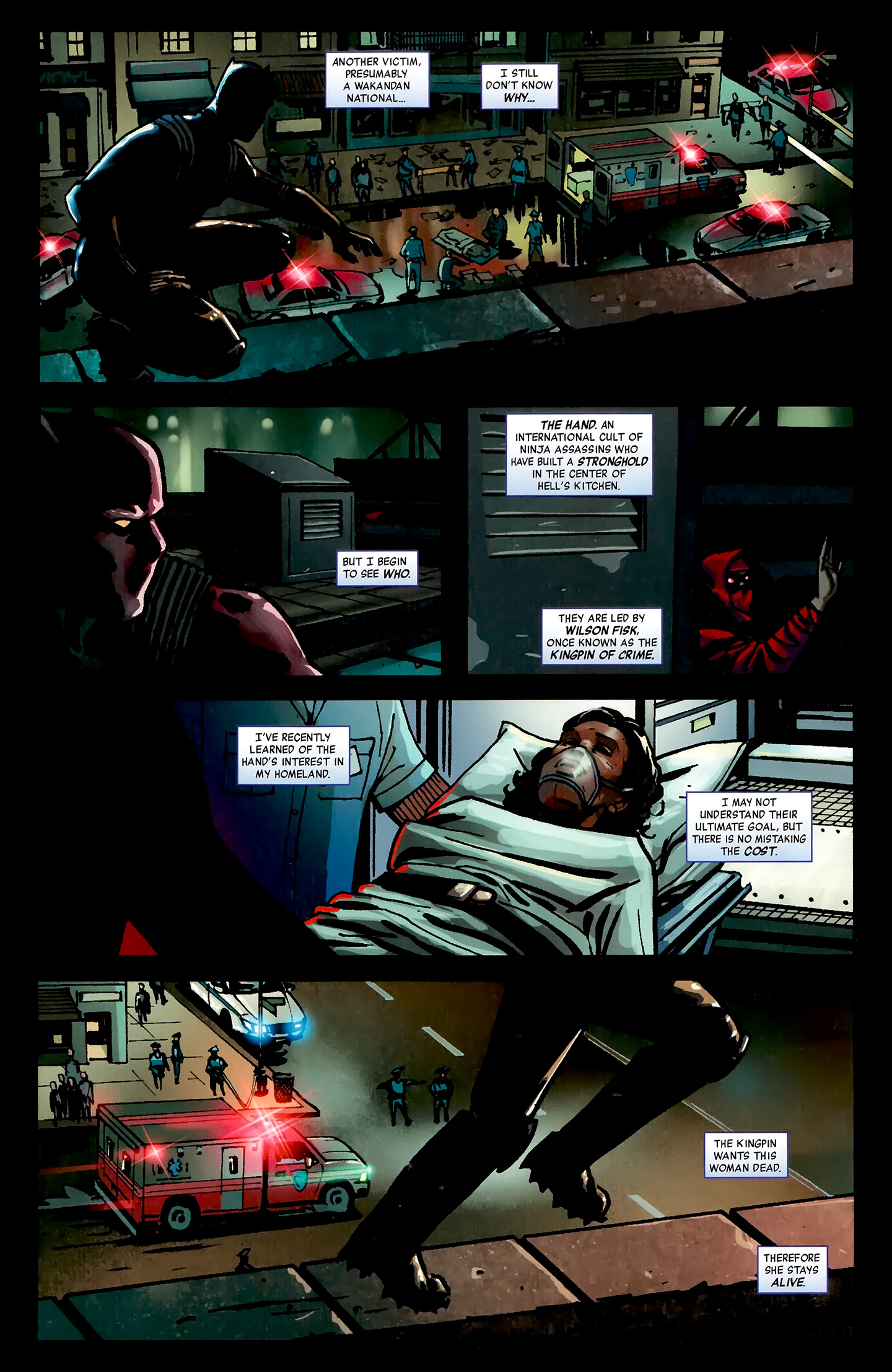 Black Panther: The Most Dangerous Man Alive 525 Page 3