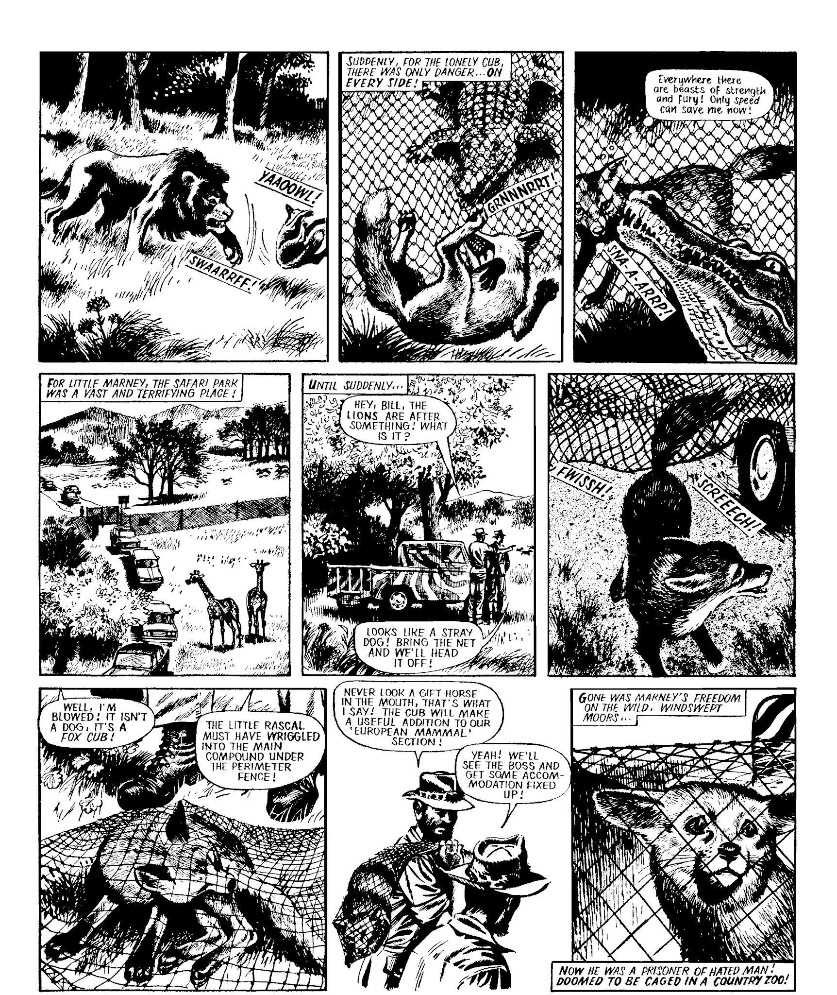 Read online Marney the Fox comic -  Issue # TPB (Part 1) - 30