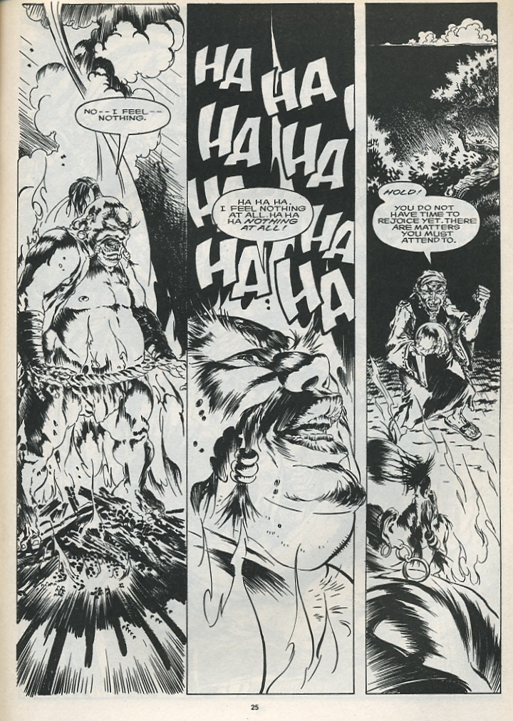 The Savage Sword Of Conan issue 175 - Page 27