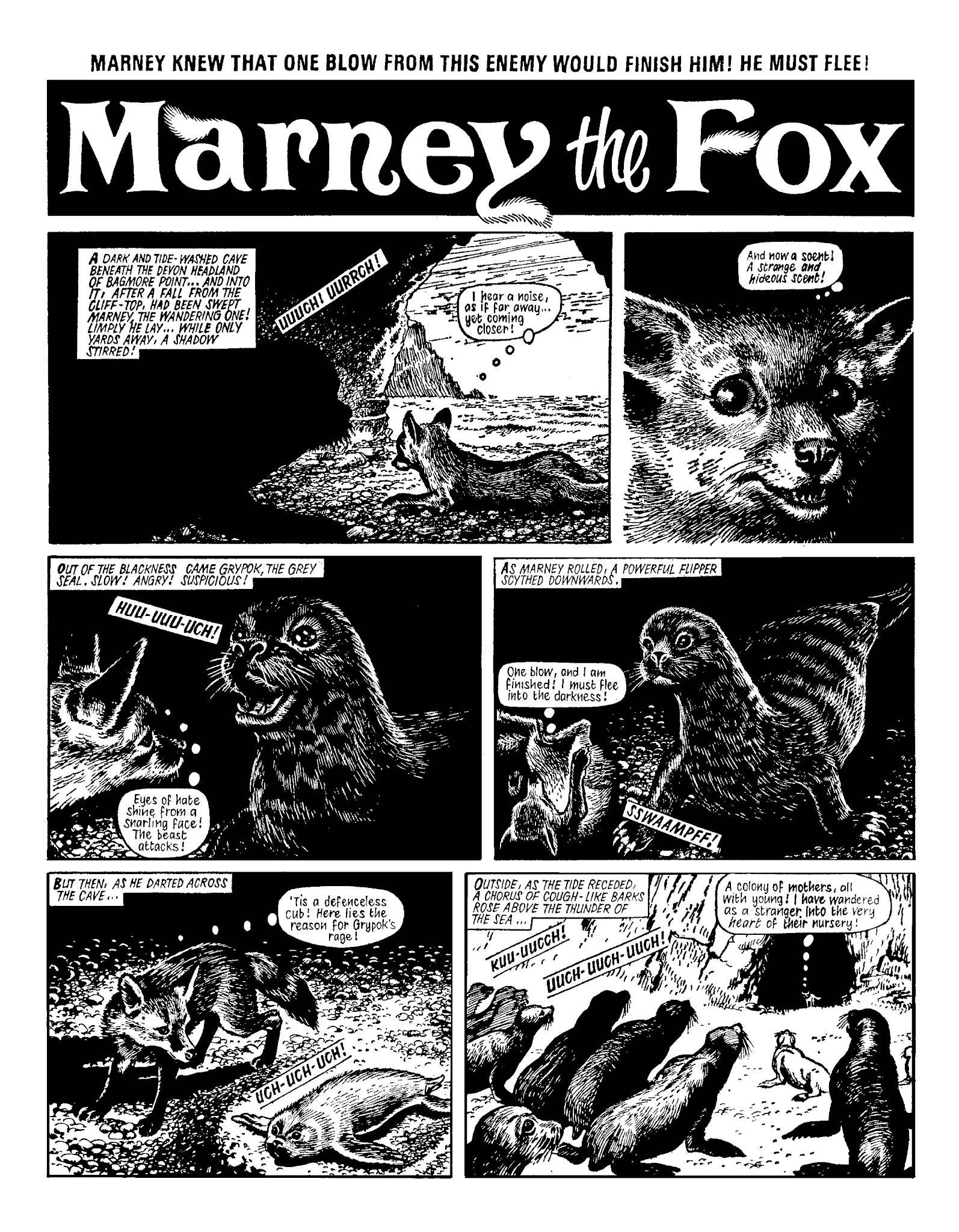Read online Marney the Fox comic -  Issue # TPB (Part 1) - 47