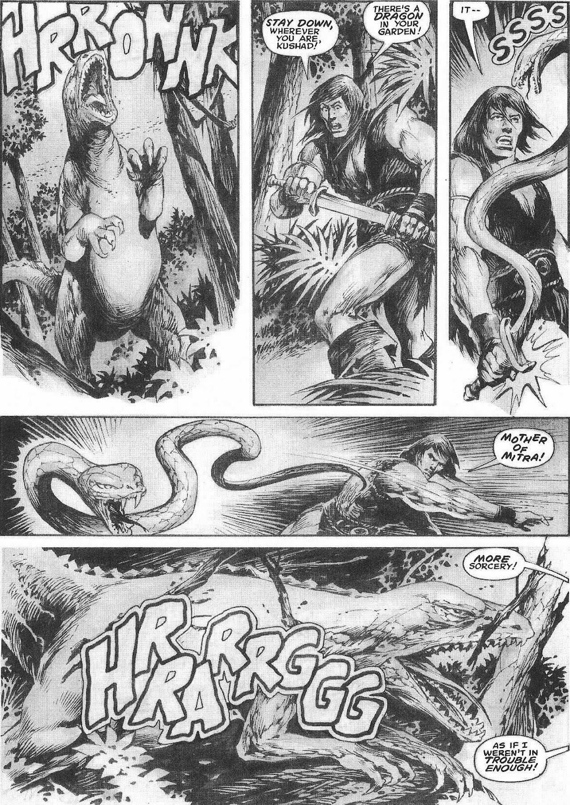 The Savage Sword Of Conan issue 207 - Page 36