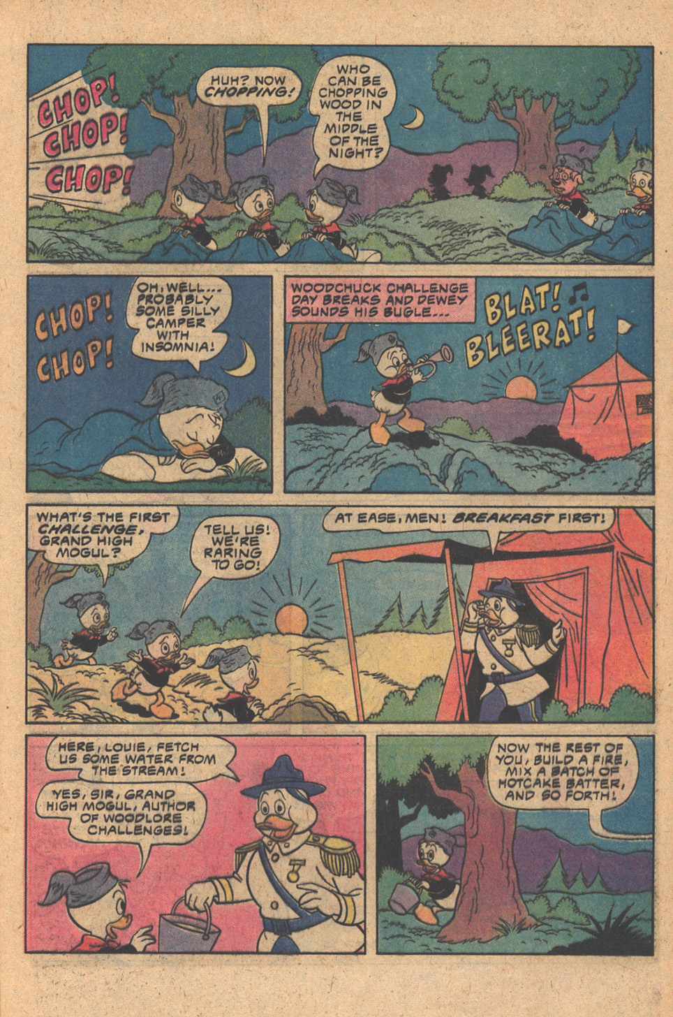 Read online Huey, Dewey, and Louie Junior Woodchucks comic -  Issue #63 - 25