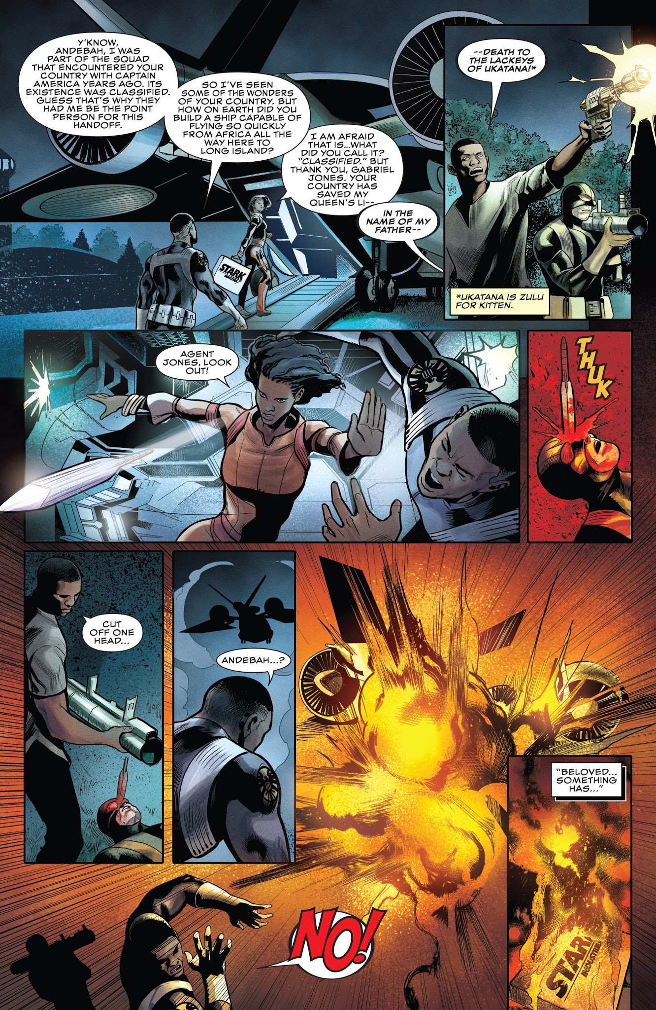 Read online Rise of the Black Panther comic -  Issue #1 - 18