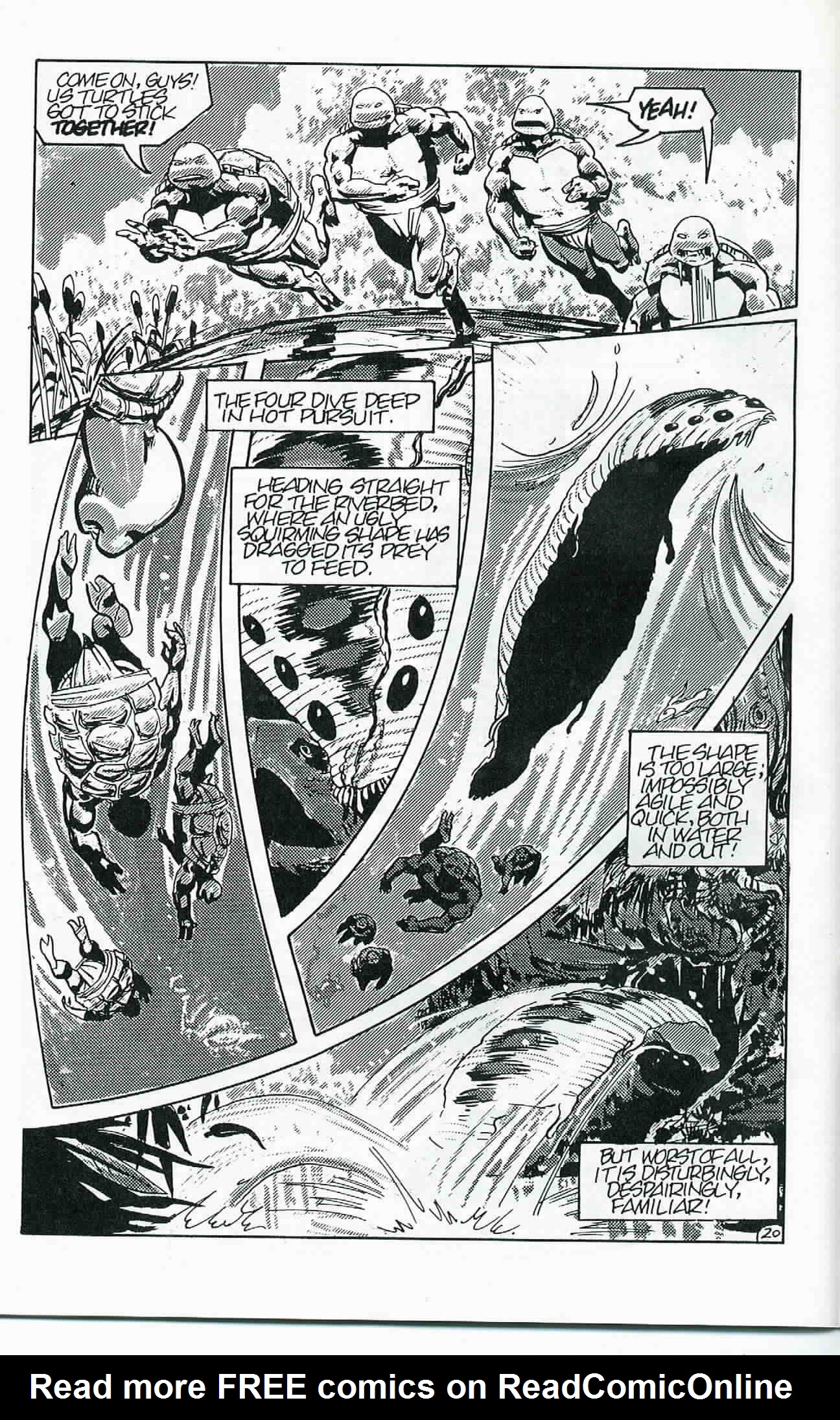 Read online Teenage Mutant Ninja Turtles (1984) comic -  Issue #24 - 21