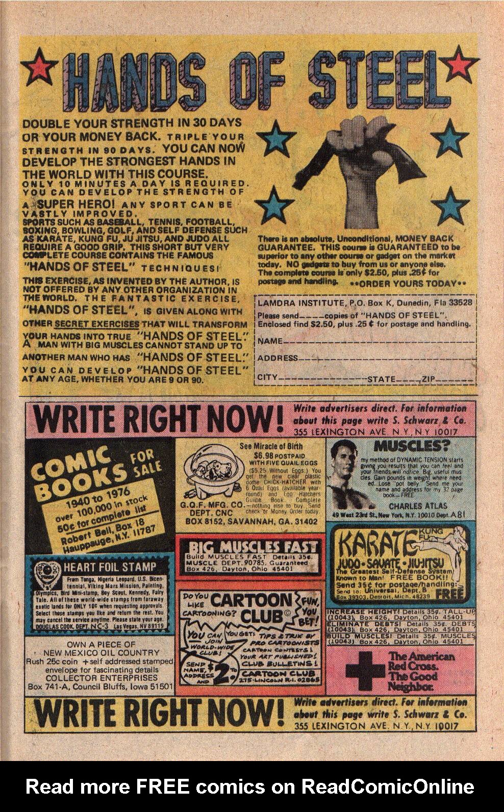 Freedom Fighters (1976) Issue #12 #12 - English 29