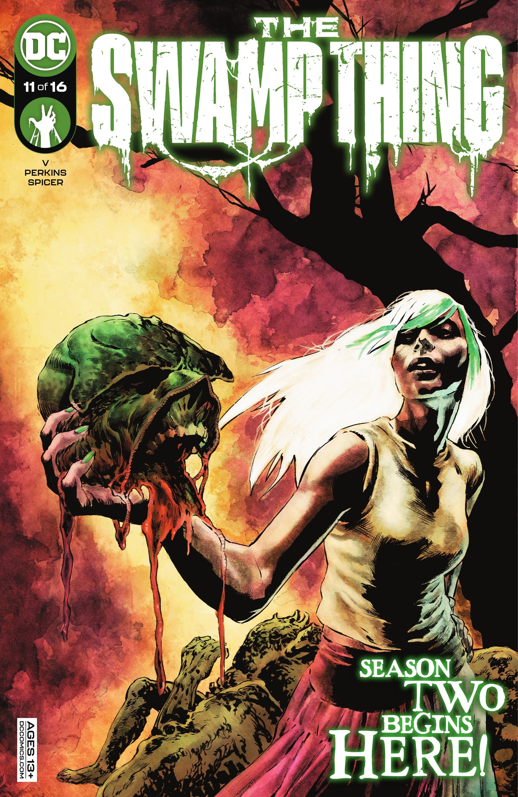 Read online The Swamp Thing comic -  Issue #11 - 1