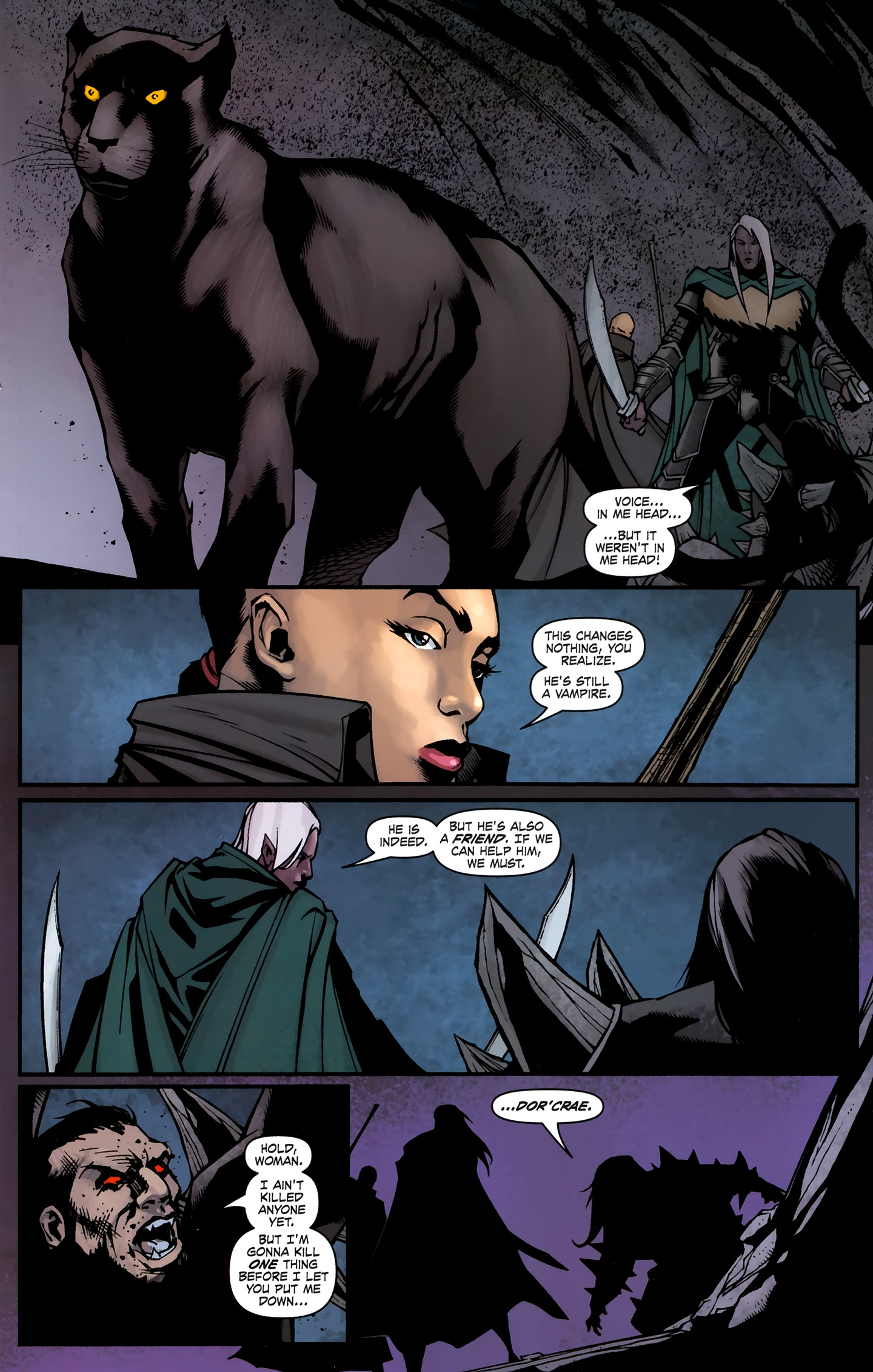 Read online Dungeons & Dragons: The Legend of Drizzt: Neverwinter Tales comic -  Issue #4 - 17