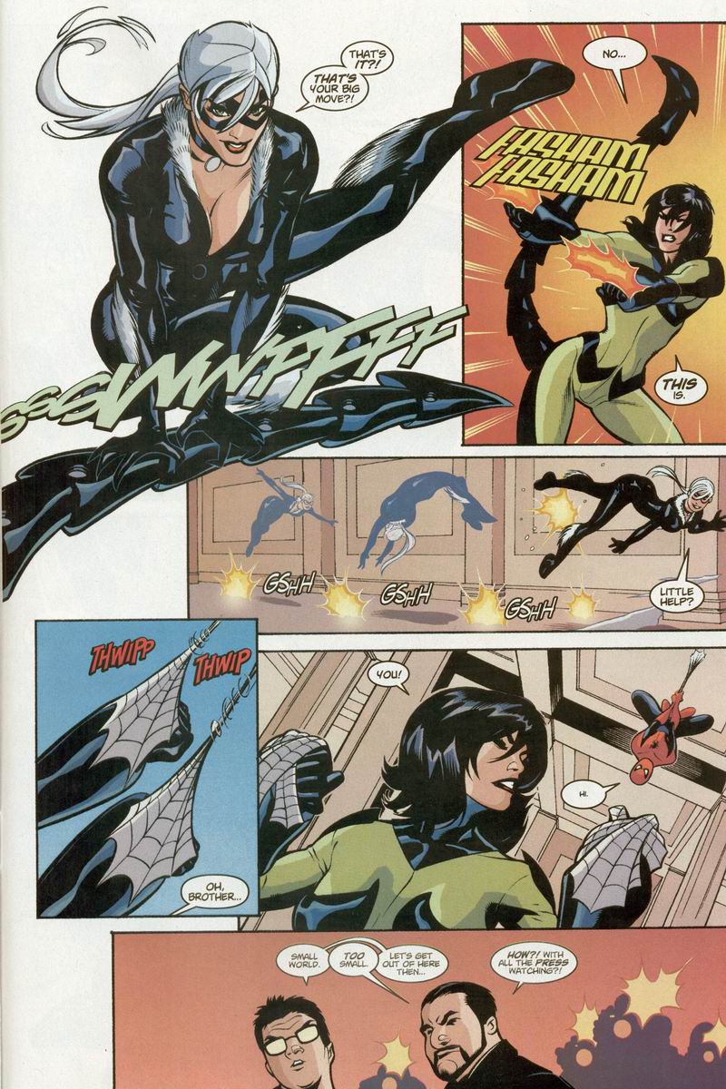 Read online Spider-Man/Black Cat: The Evil That Men Do comic -  Issue #2 - 18