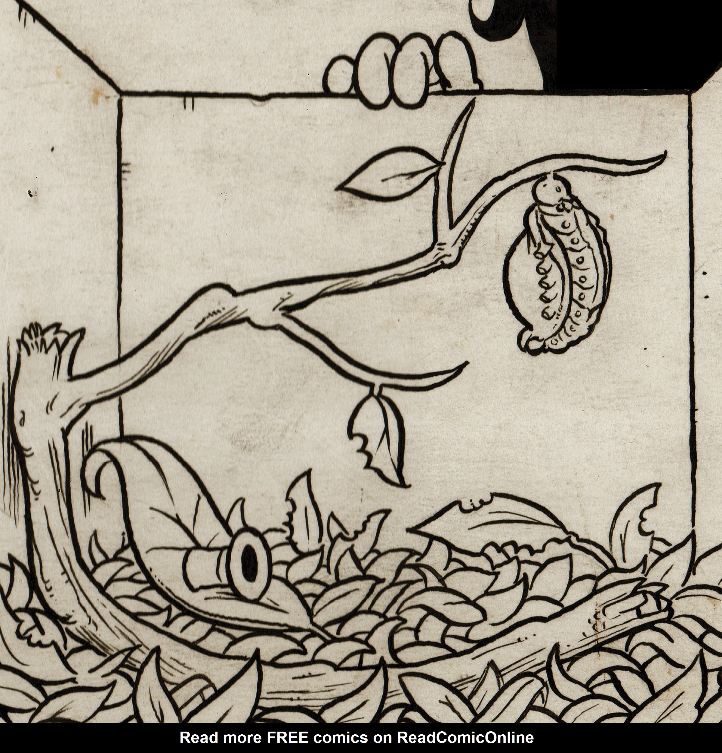 Read online Pim & Francie: The Golden Bear Days (Artifacts and Bone Fragments) comic -  Issue # TPB (Part 2) - 12