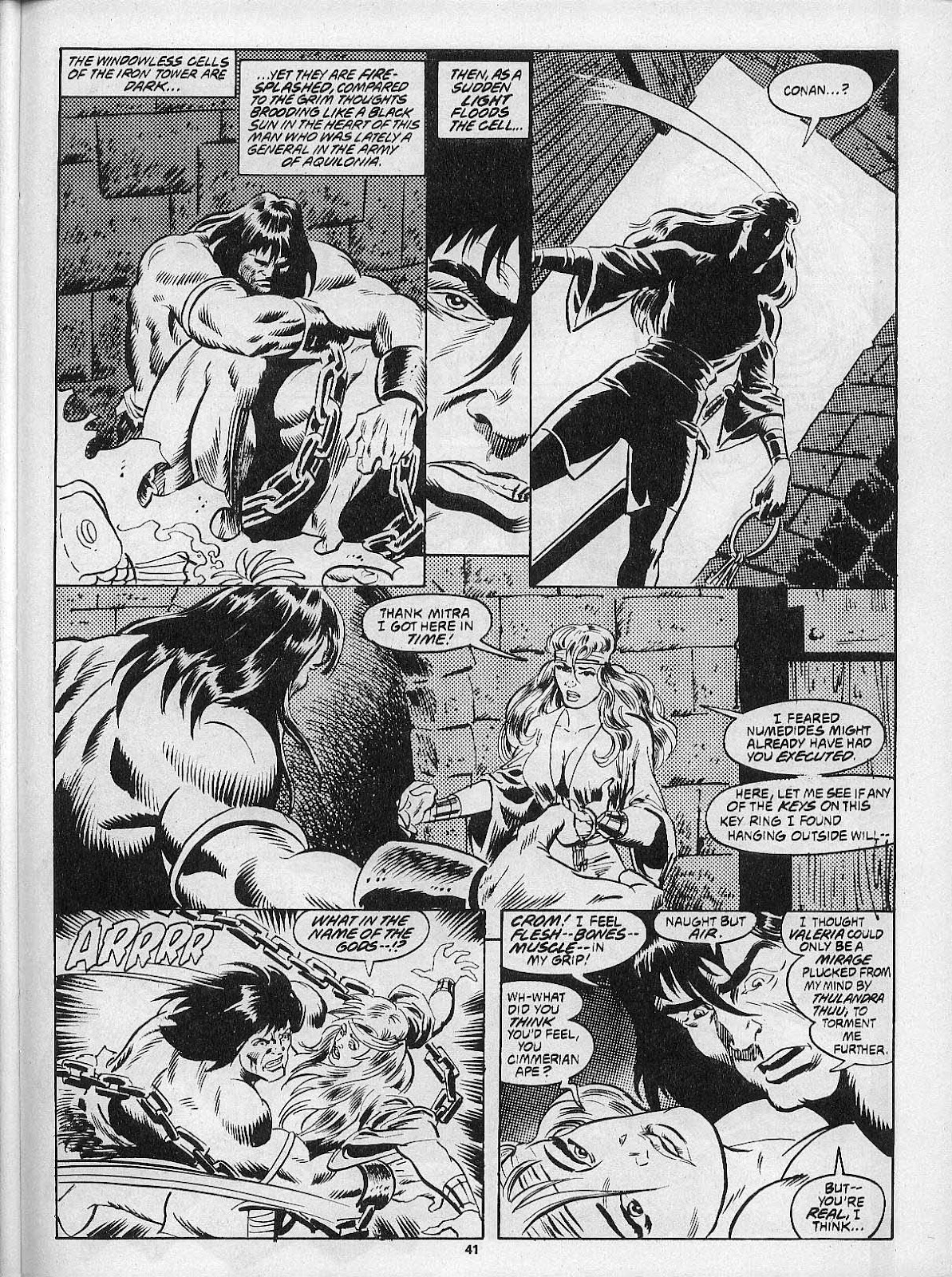 The Savage Sword Of Conan issue 201 - Page 43