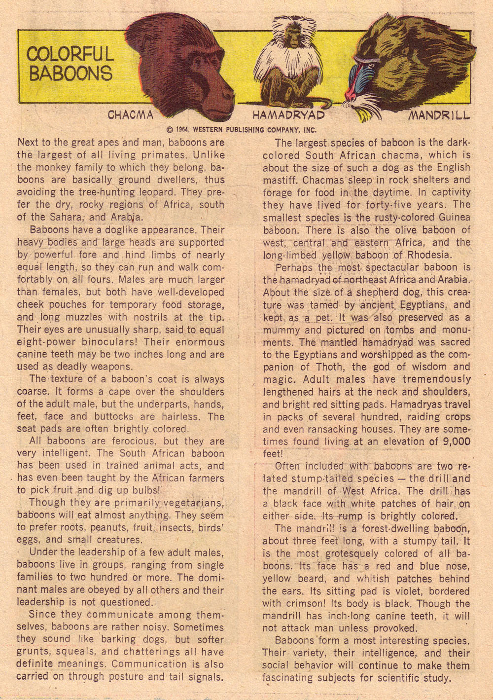 Read online Korak, Son of Tarzan (1964) comic -  Issue #4 - 19