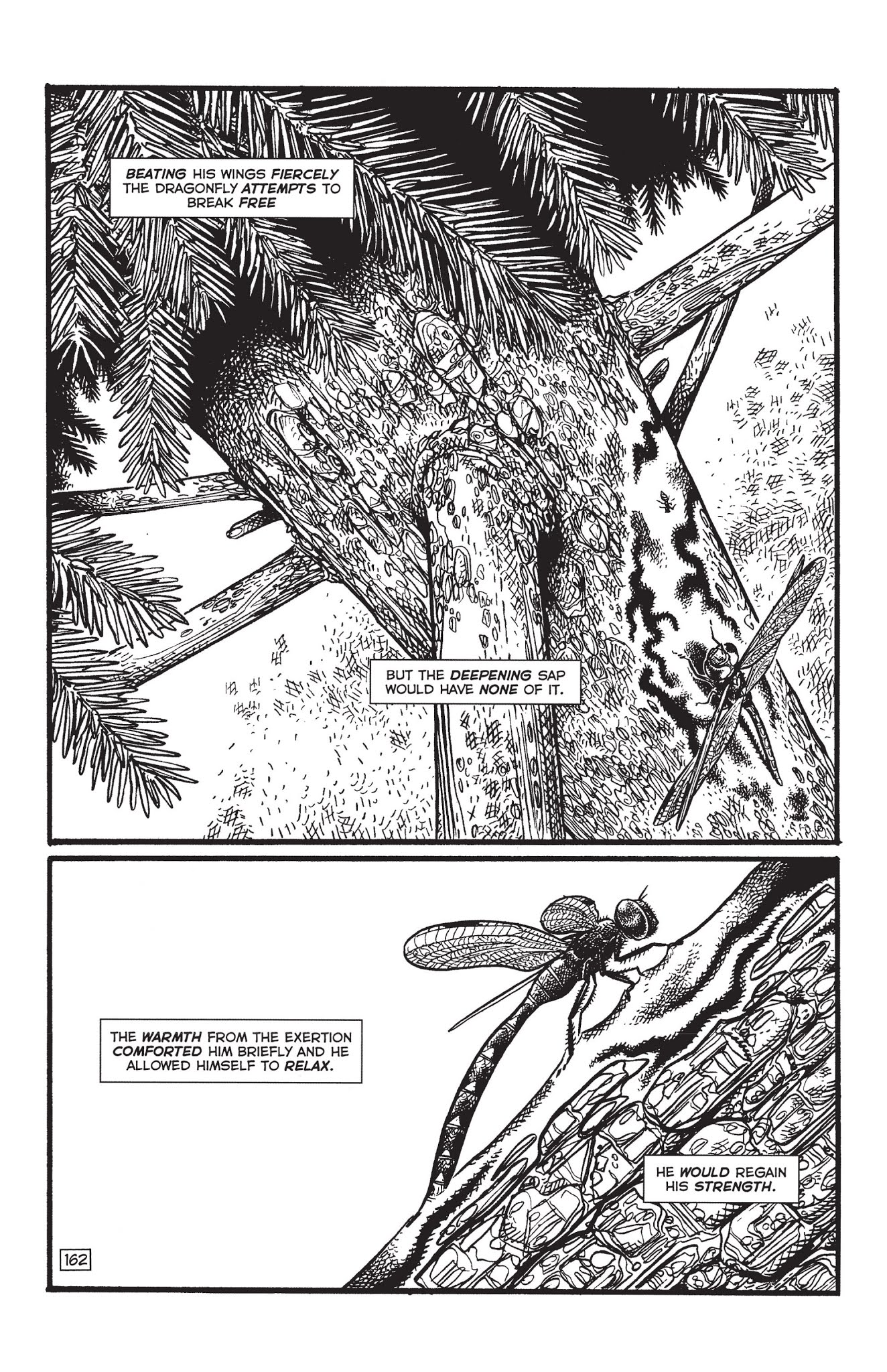 Read online Paleo: Tales of the late Cretaceous comic -  Issue # TPB (Part 2) - 77