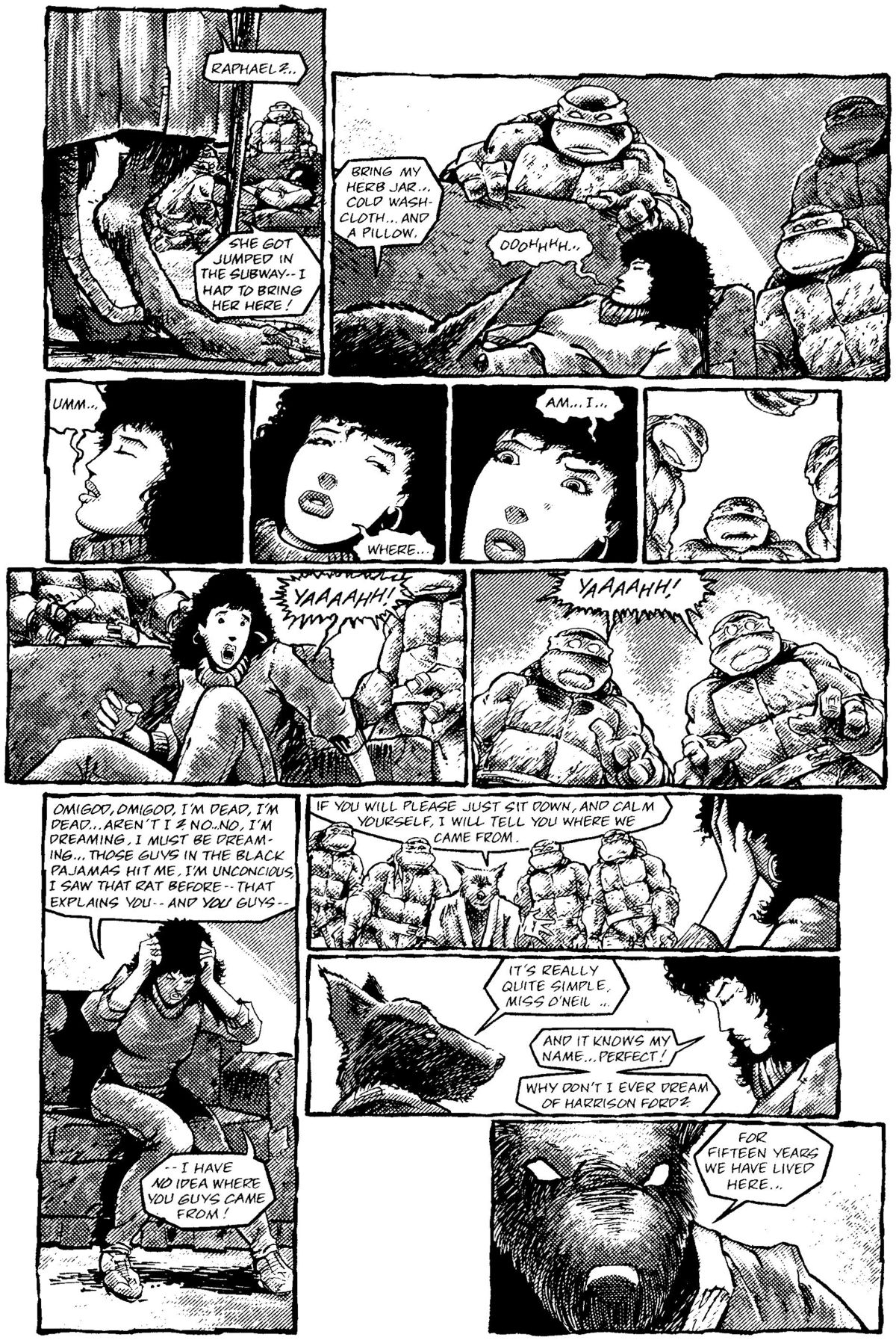 Read online Teenage Mutant Ninja Turtles: The Movie comic -  Issue # Full - 26