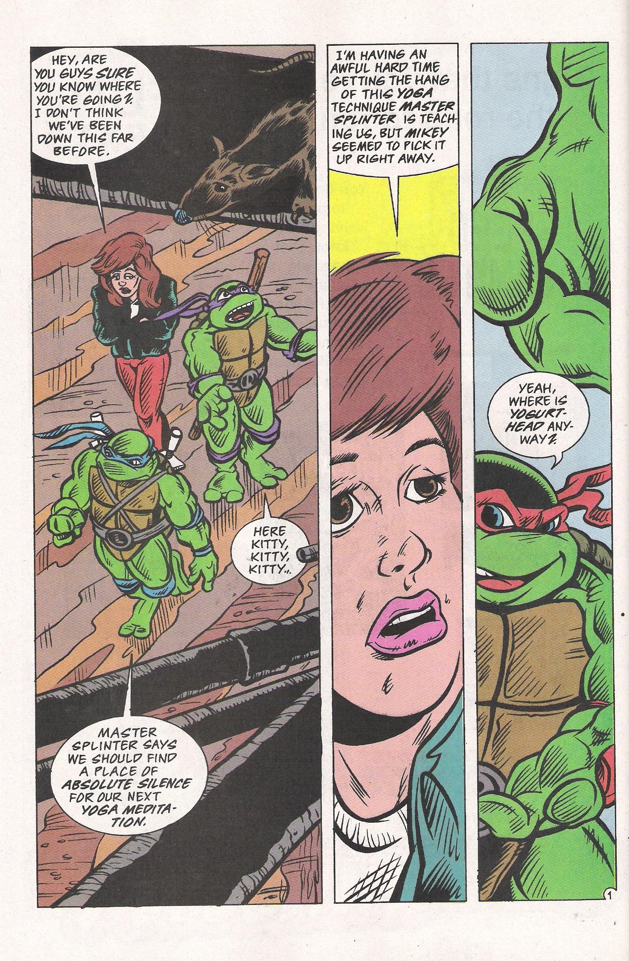 Read online Teenage Mutant Ninja Turtles Adventures (1989) comic -  Issue # _Special 5 - 38