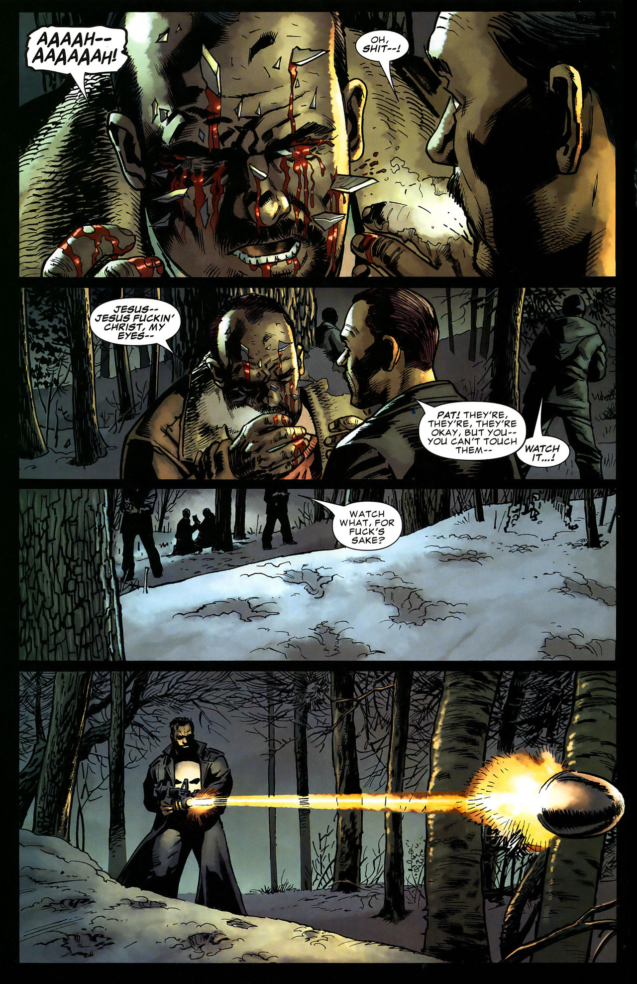 The Punisher (2004) Issue #45 #45 - English 14