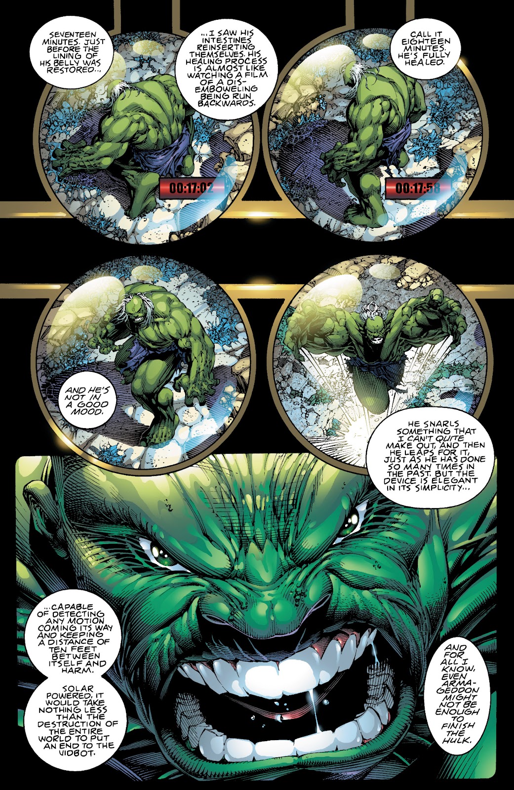 Incredible Hulk: The End issue TPB - Page 19