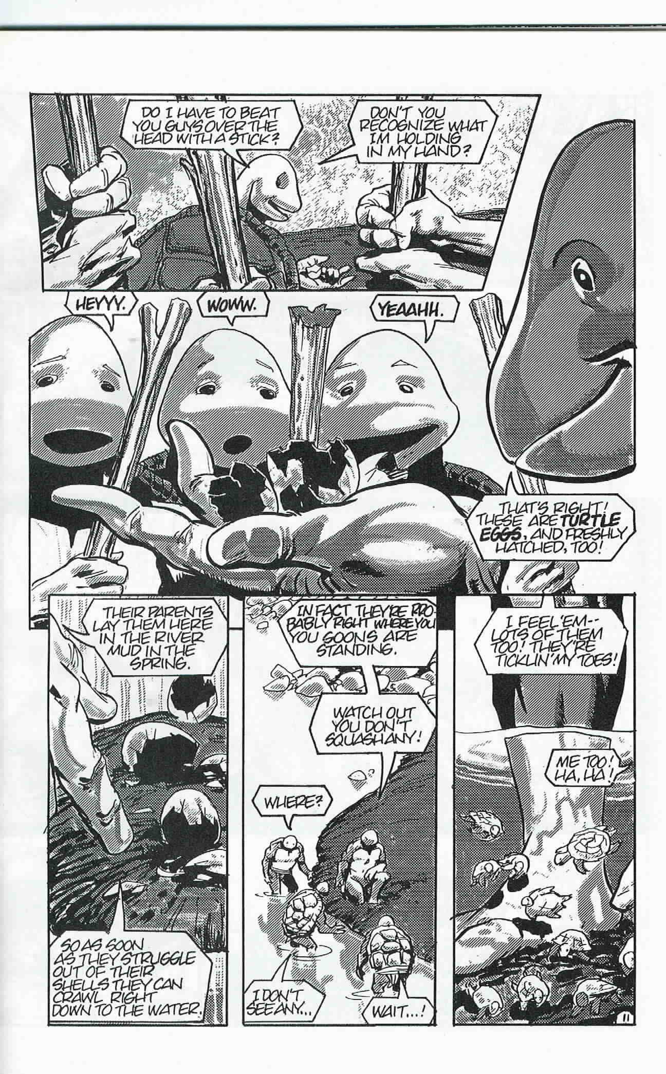 Teenage Mutant Ninja Turtles (1984) Issue #24 #24 - English 12