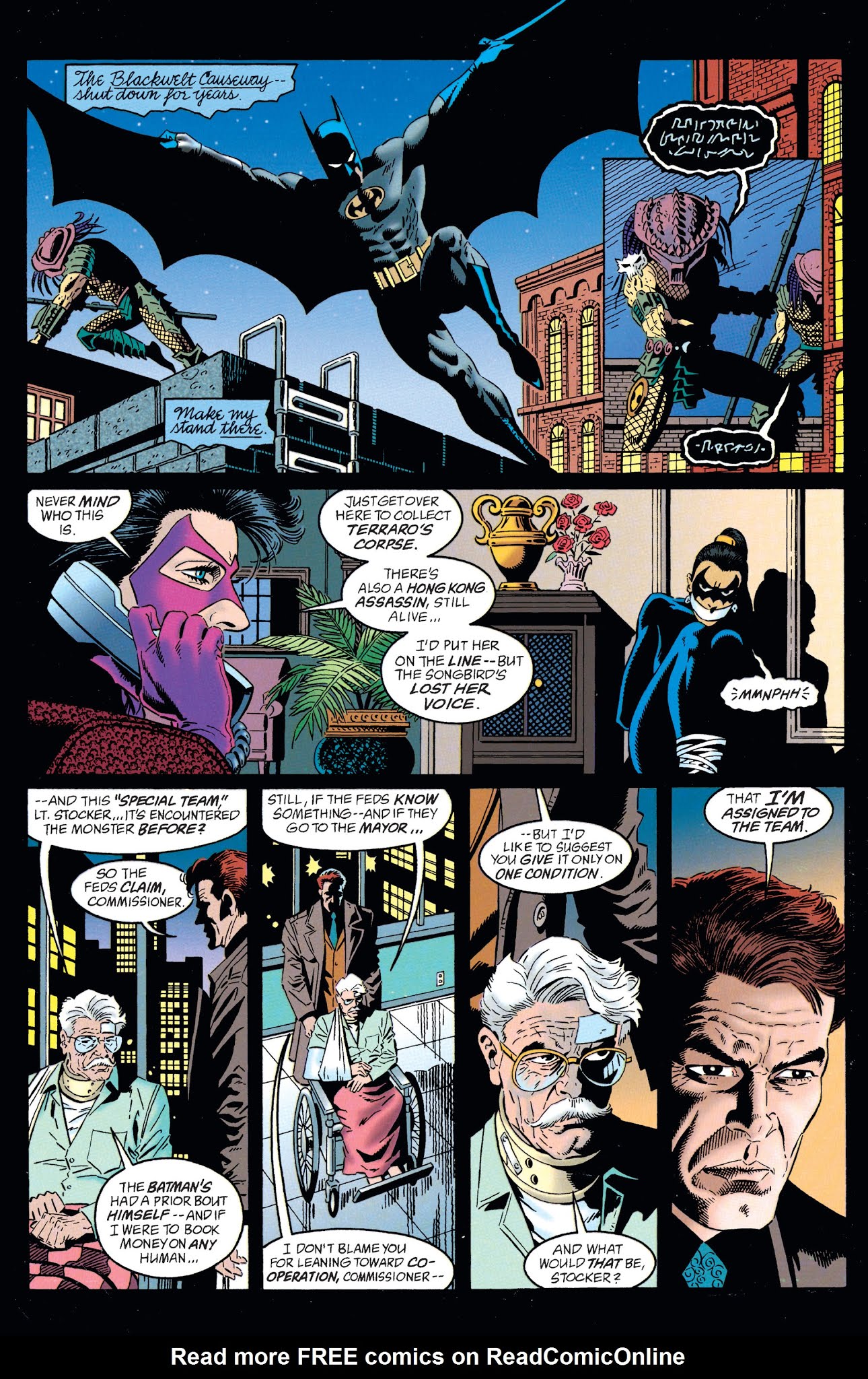 Read online DC Comics/Dark Horse Comics: Batman vs. Predator comic -  Issue # TPB (Part 3) - 4