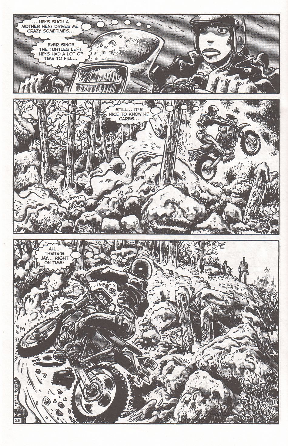 TMNT: Teenage Mutant Ninja Turtles issue 2 - Page 31