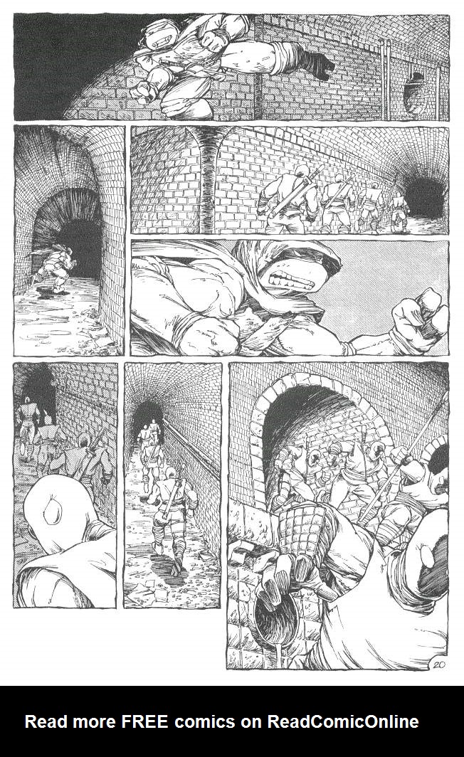 Teenage Mutant Ninja Turtles (1984) Issue #19 #19 - English 21