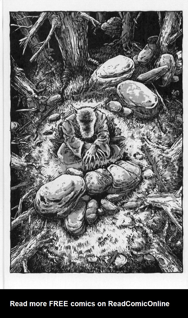 Read online Teenage Mutant Ninja Turtles (1984) comic -  Issue #50 - 35