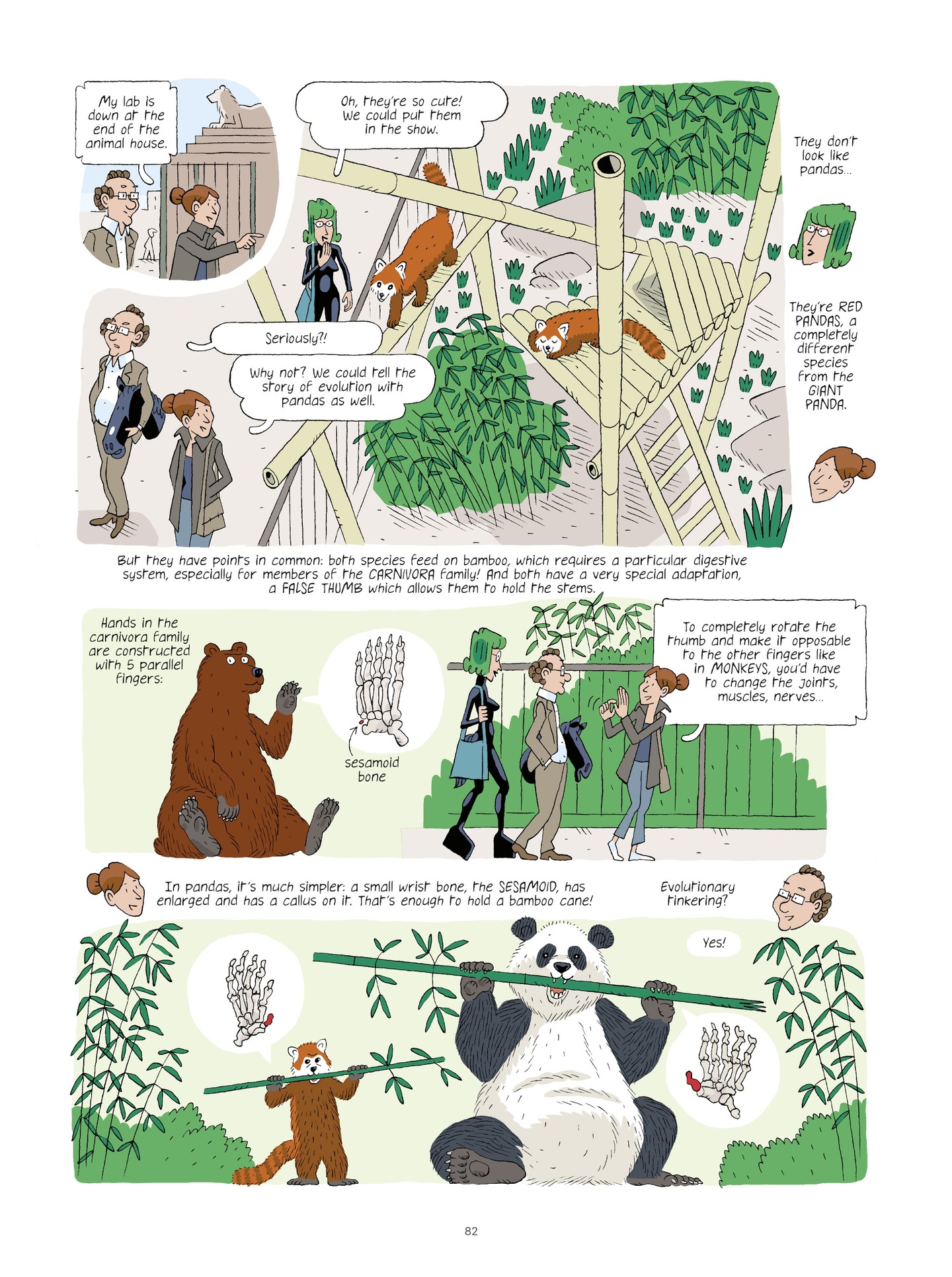 Read online Evolution, Darwin, God, and the Horse-People comic -  Issue # TPB - 81