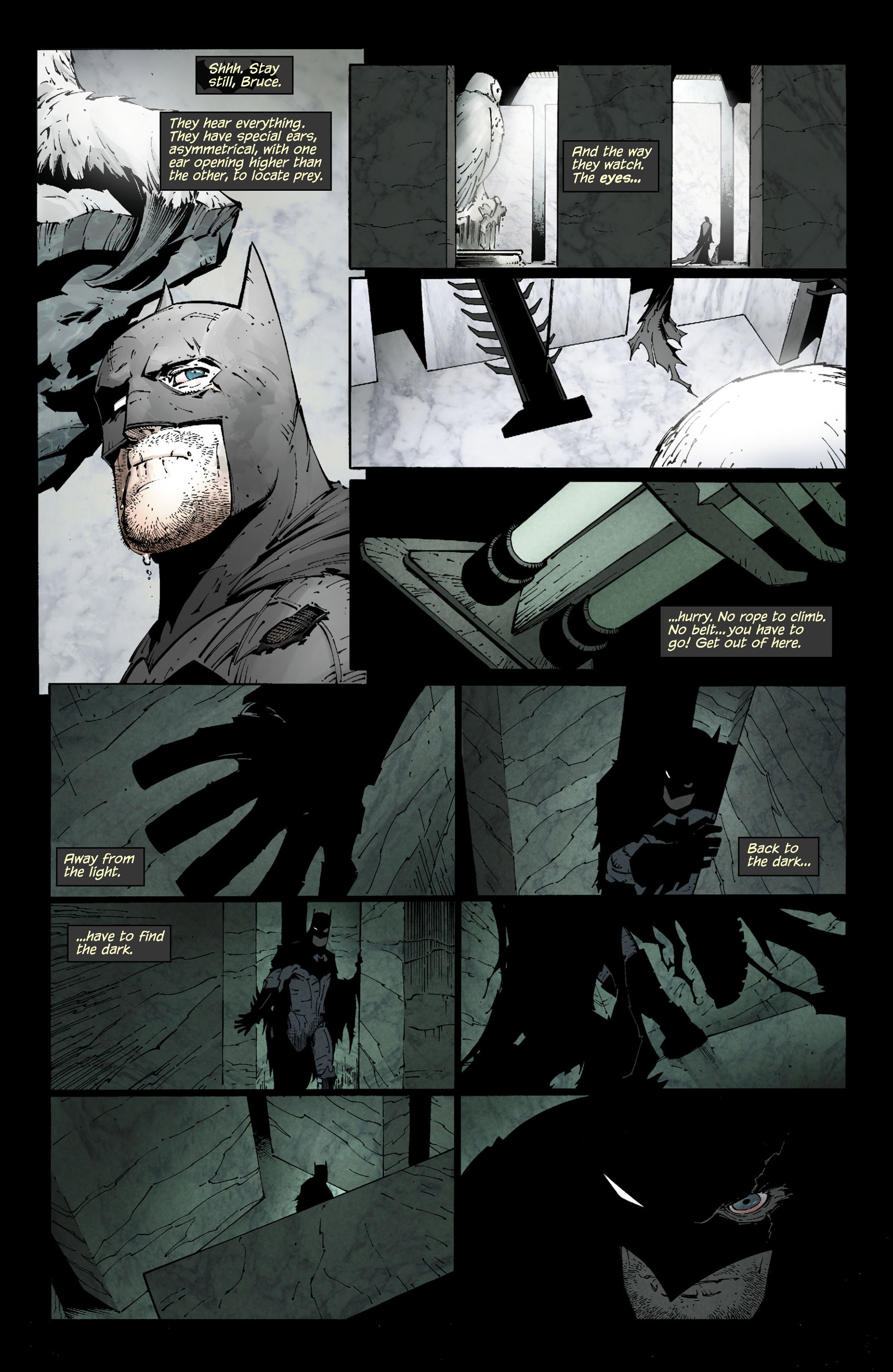 Read online Batman: The Court of Owls comic -  Issue # Full - 2