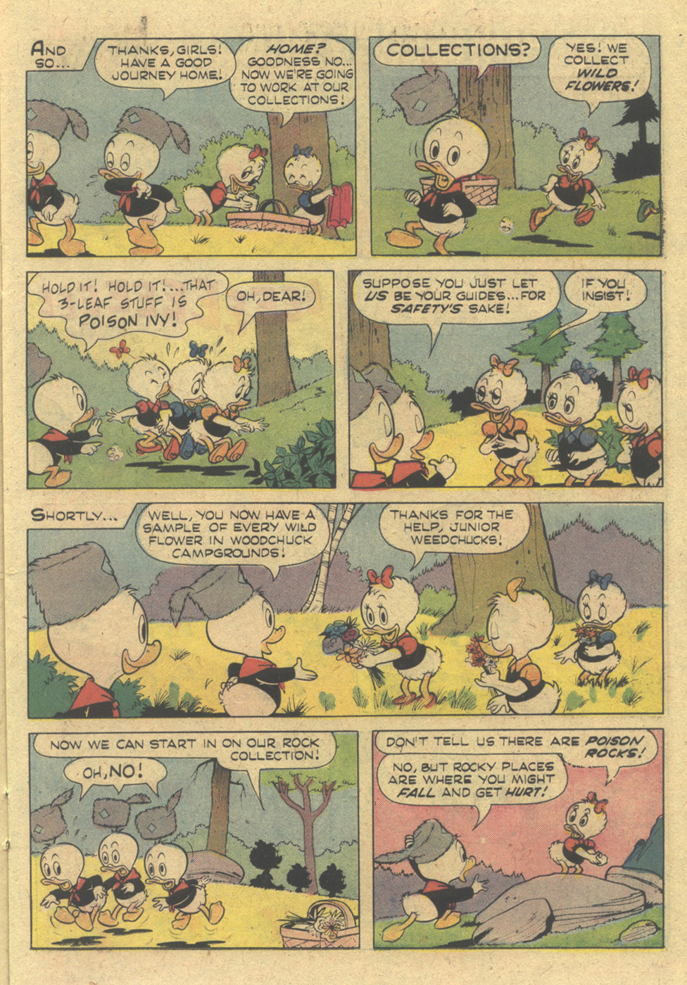 Huey, Dewey, and Louie Junior Woodchucks issue 1 - Page 18
