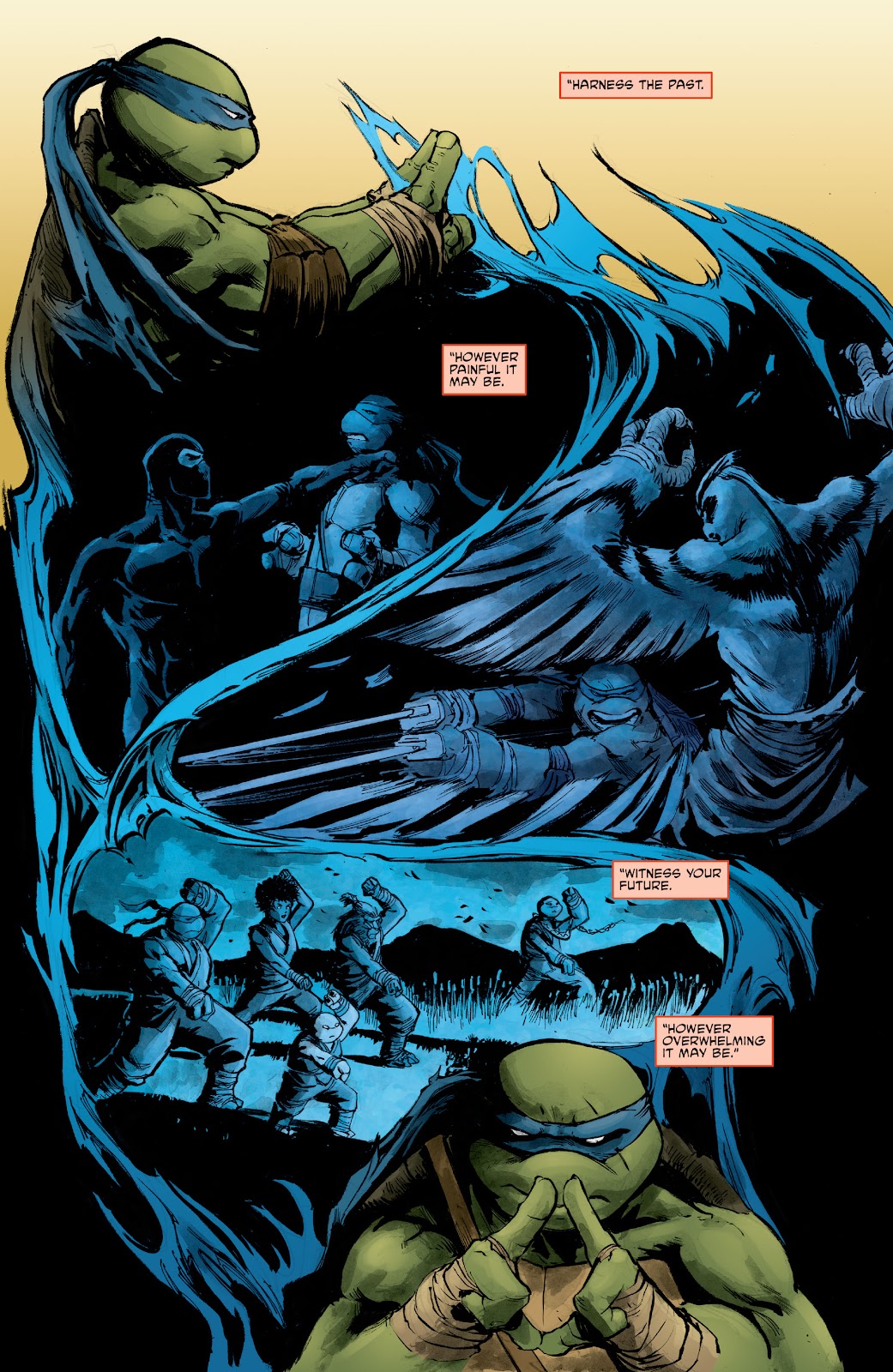 Teenage Mutant Ninja Turtles (2011) issue 139 - Page 12