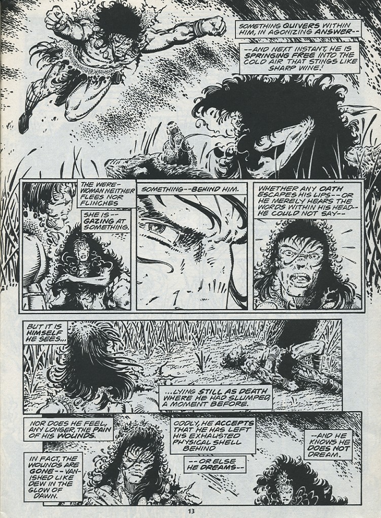 Read online The Savage Sword Of Conan comic -  Issue #221 - 15