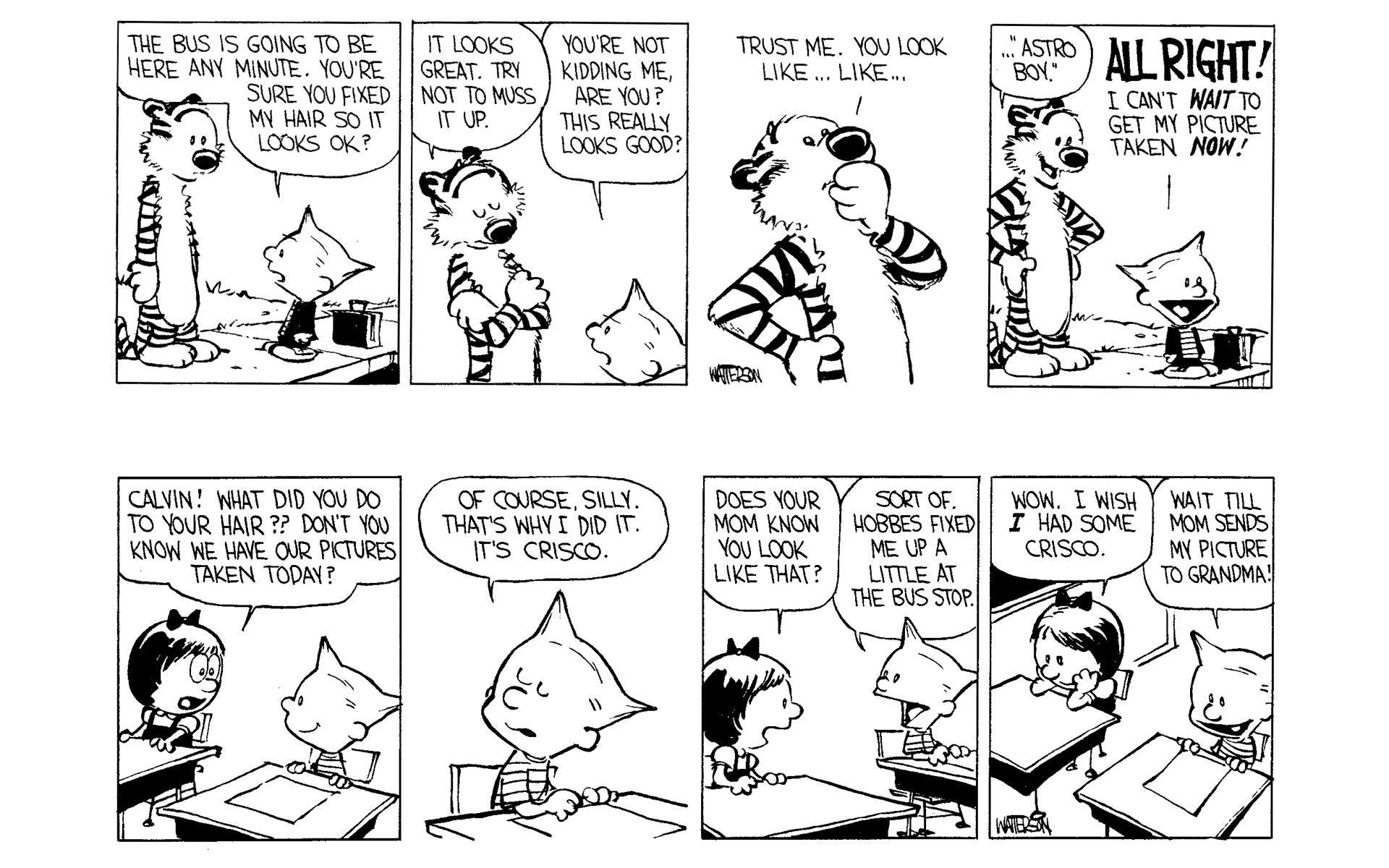 Read online Calvin and Hobbes comic -  Issue #2 - 115