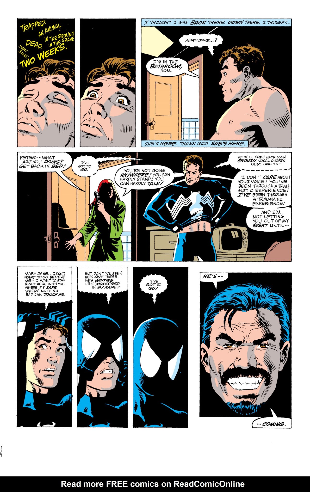 Read online Amazing Spider-Man Epic Collection comic -  Issue # Kraven's Last Hunt (Part 5) - 3