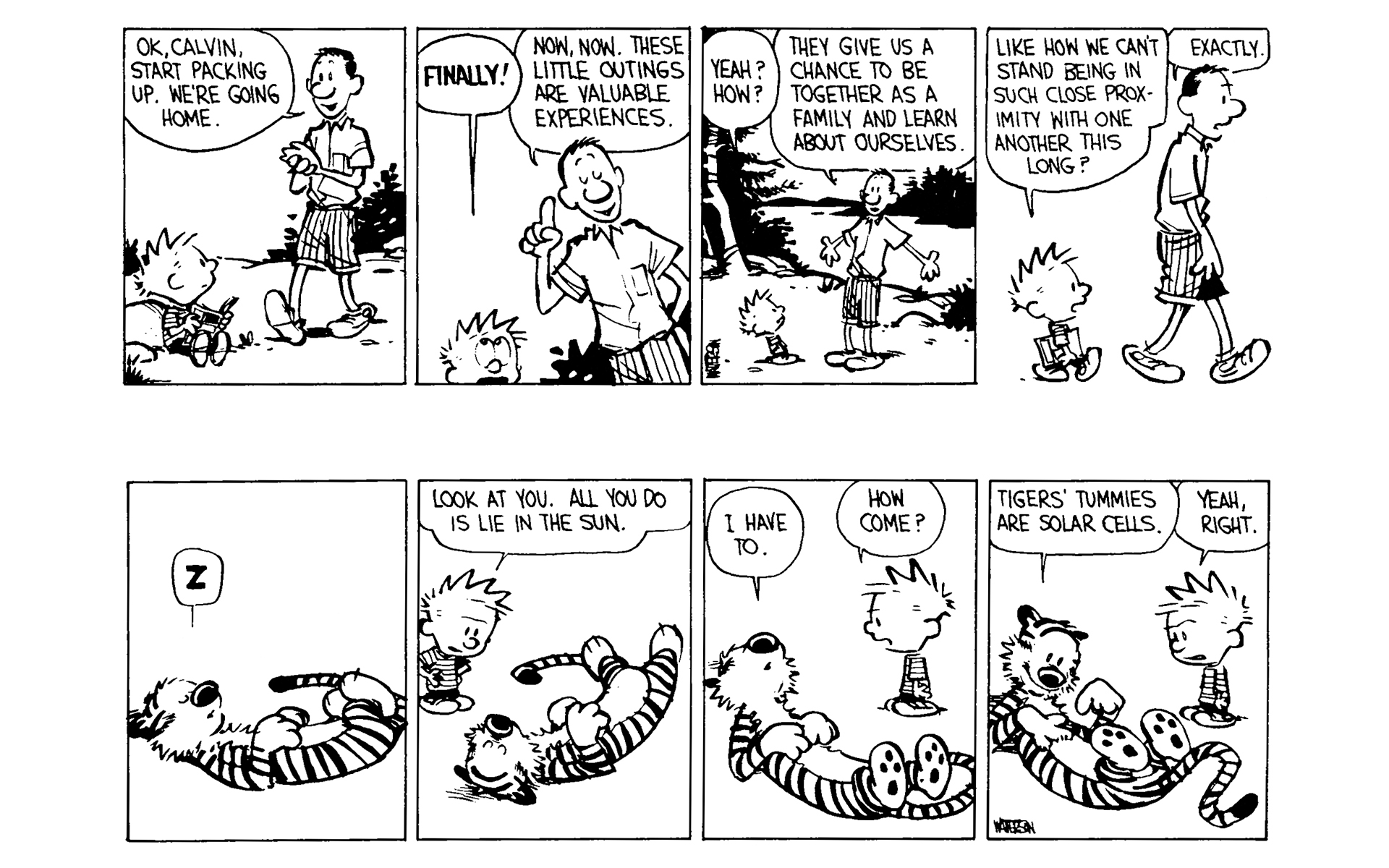 Read online Calvin and Hobbes comic -  Issue #4 - 76