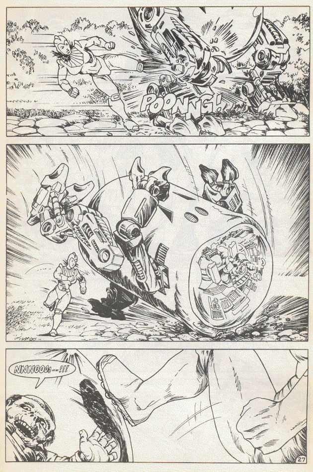 Teenage Mutant Ninja Turtles (1984) Issue #15 #15 - English 30
