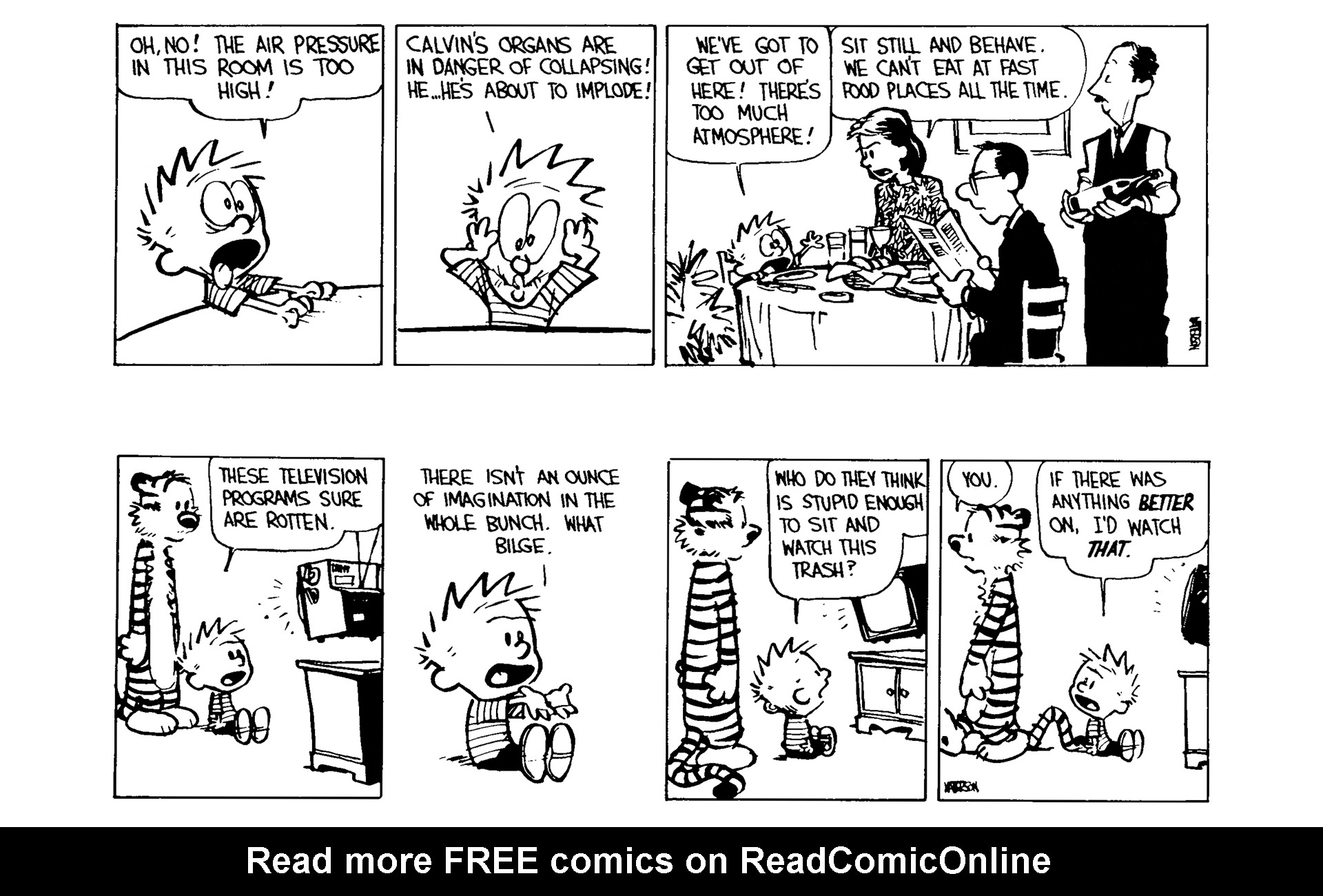 Read online Calvin and Hobbes comic -  Issue #5 - 44
