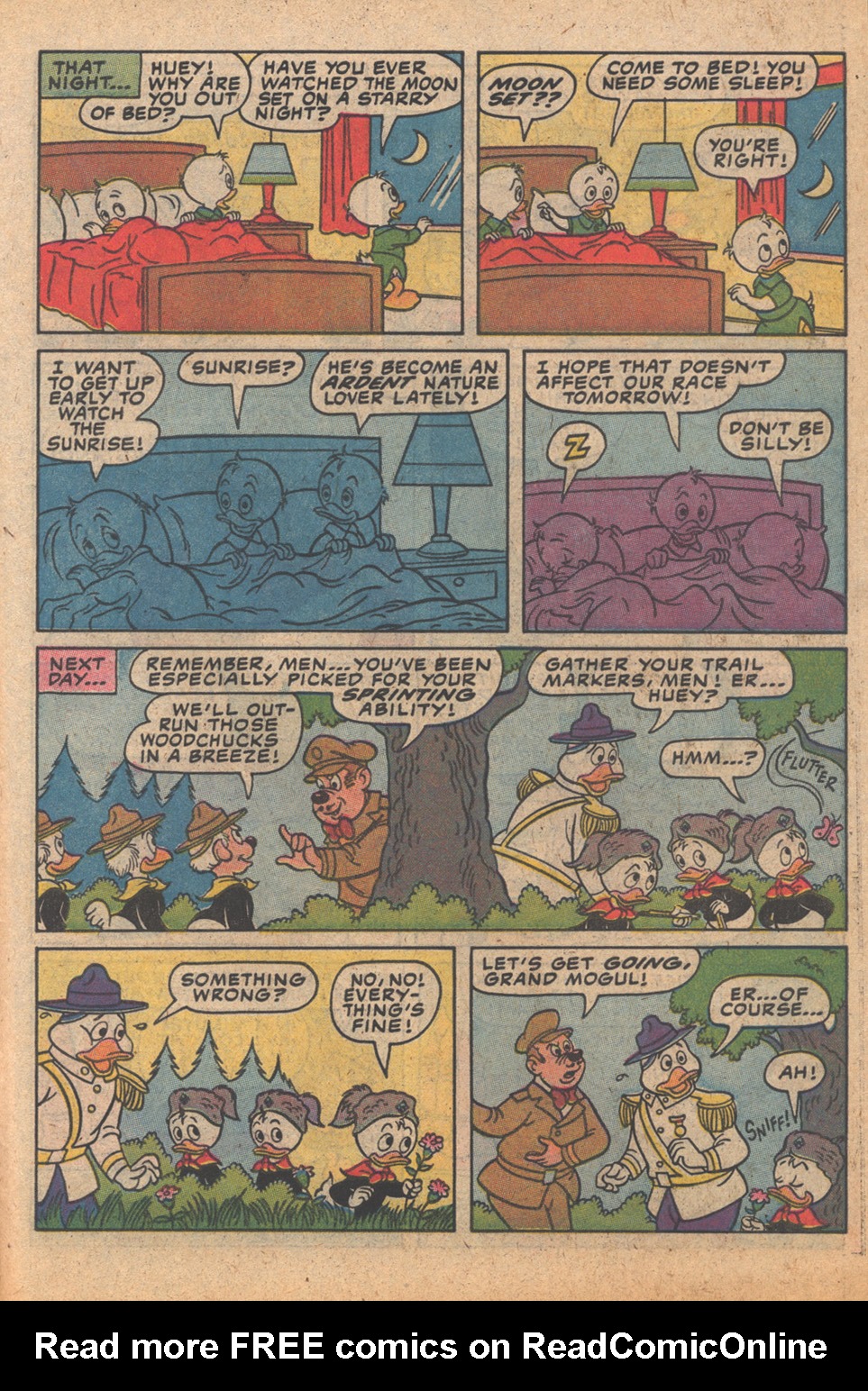 Read online Huey, Dewey, and Louie Junior Woodchucks comic -  Issue #75 - 31