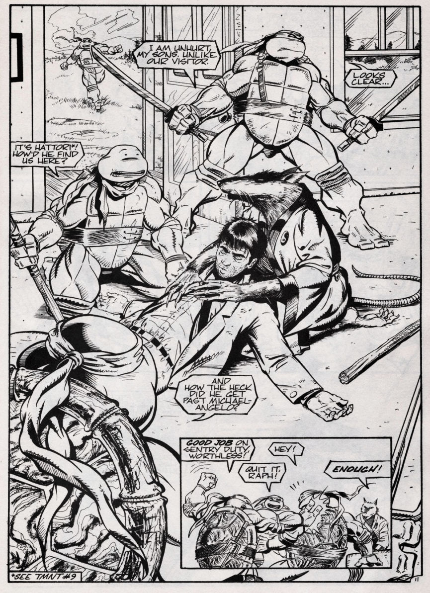 Teenage Mutant Ninja Turtles (1984) Issue #46 #46 - English 11