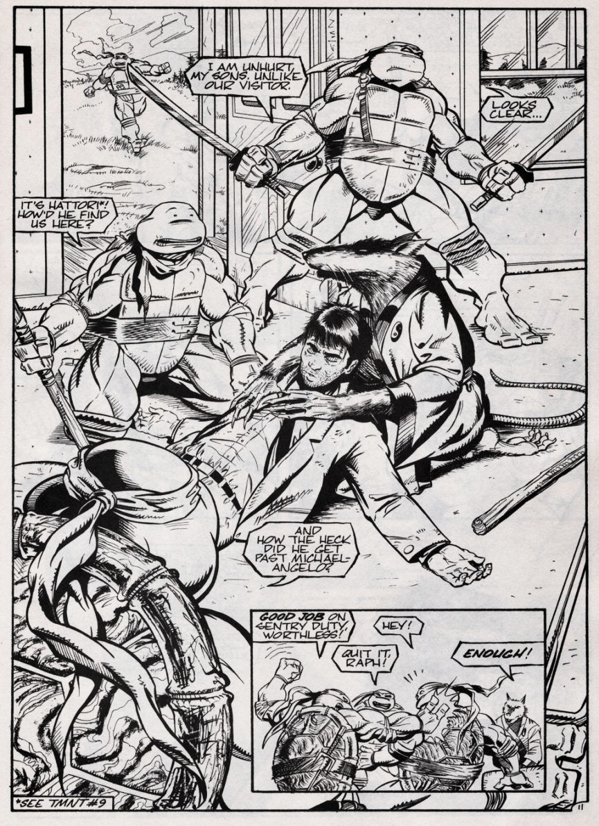 Read online Teenage Mutant Ninja Turtles (1984) comic -  Issue #46 - 11