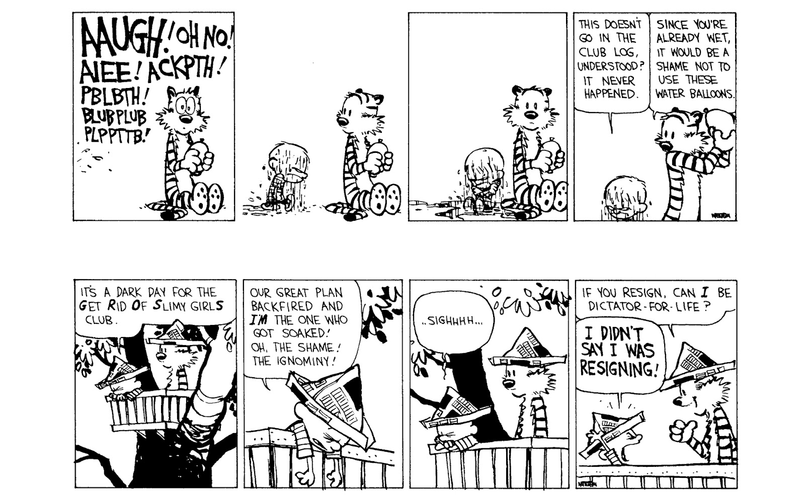Calvin and Hobbes issue 9 - Page 165